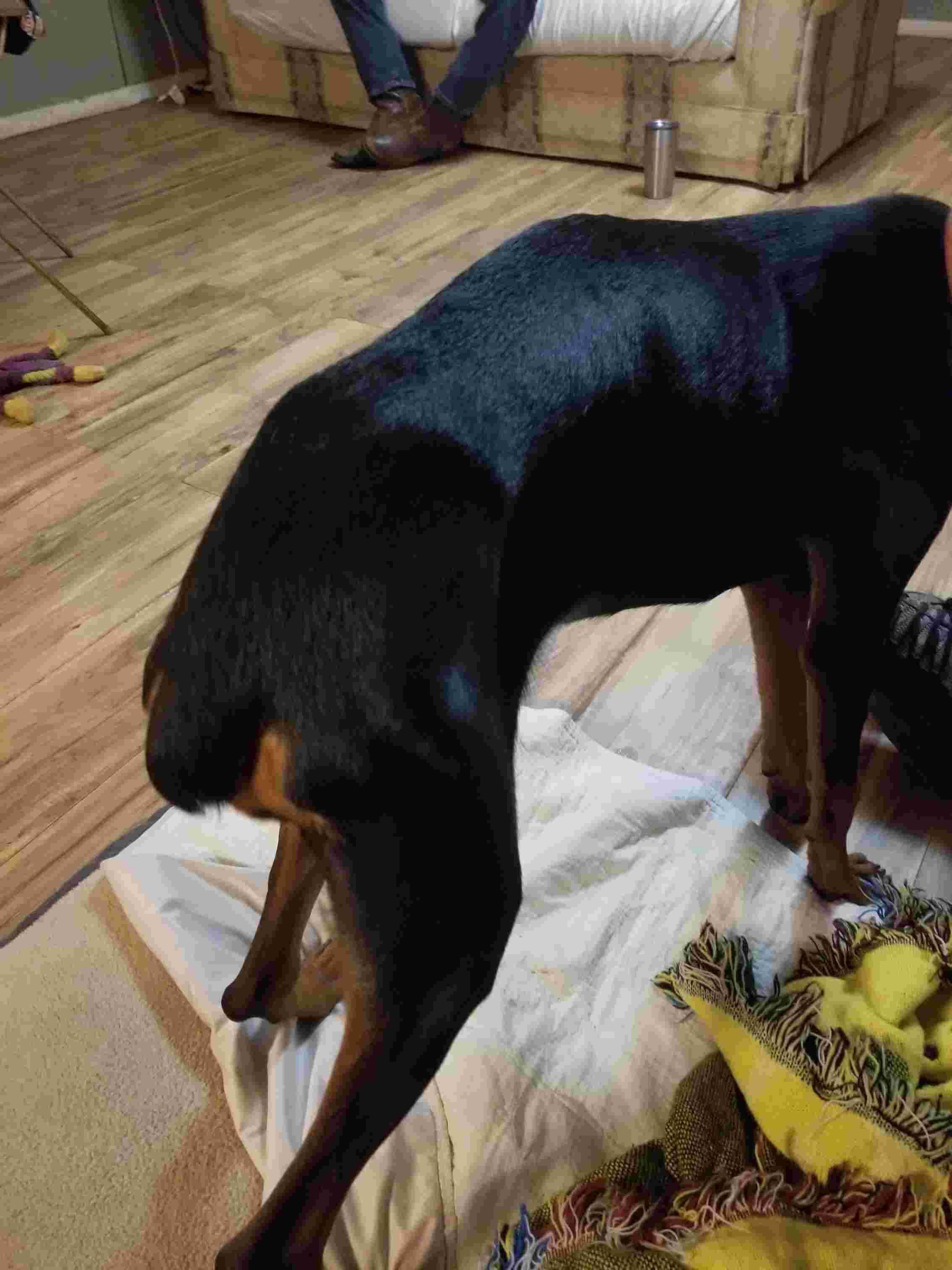 Question details sensitive content