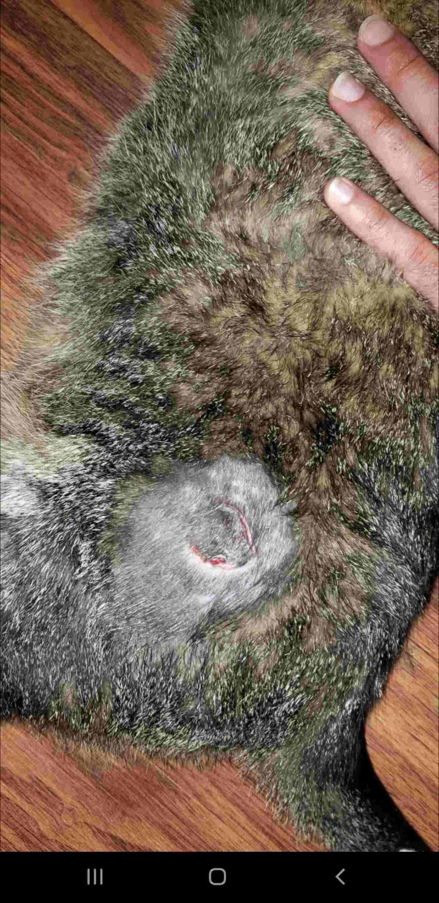 Question details sensitive content