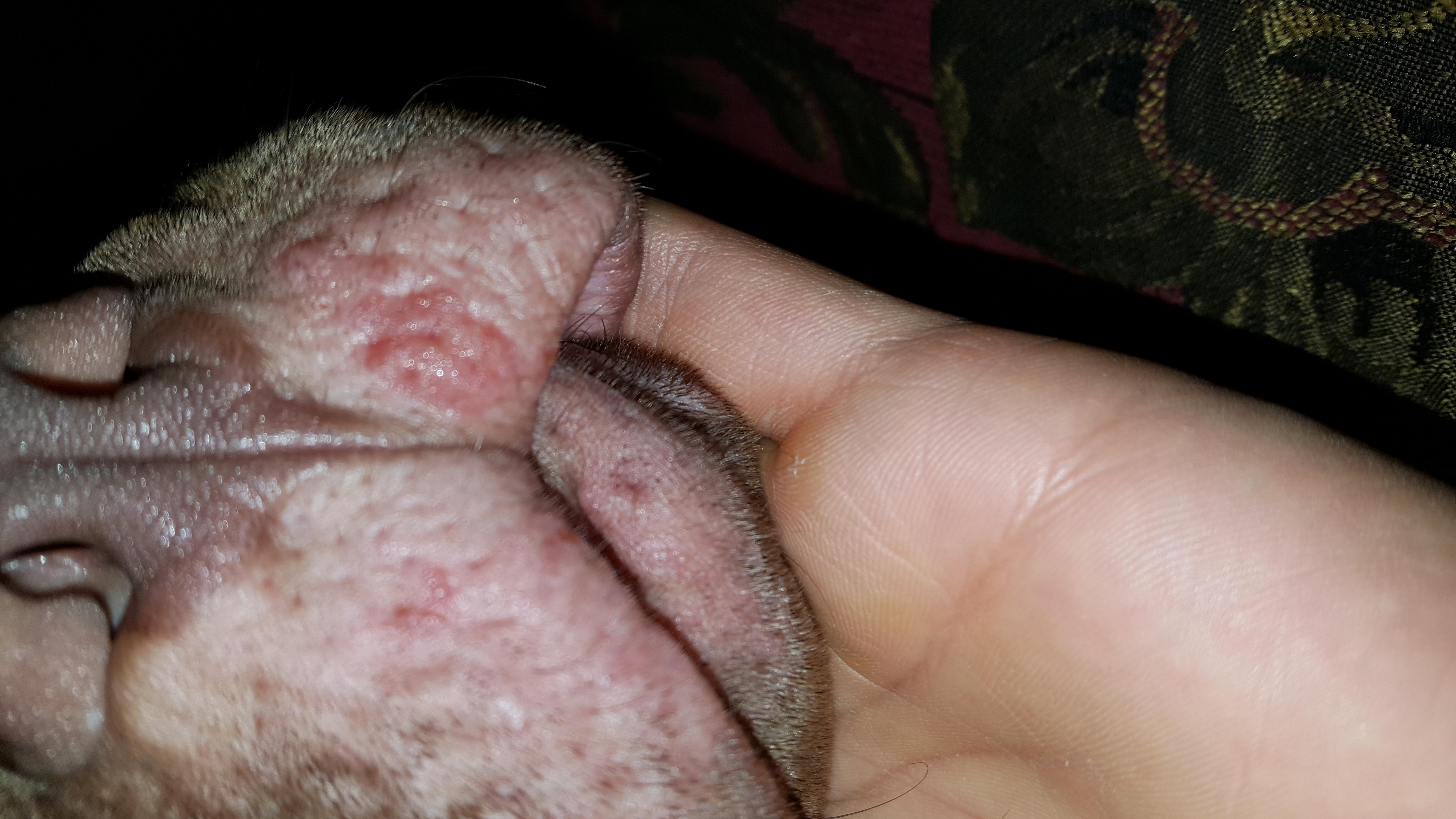 Question details sensitive content