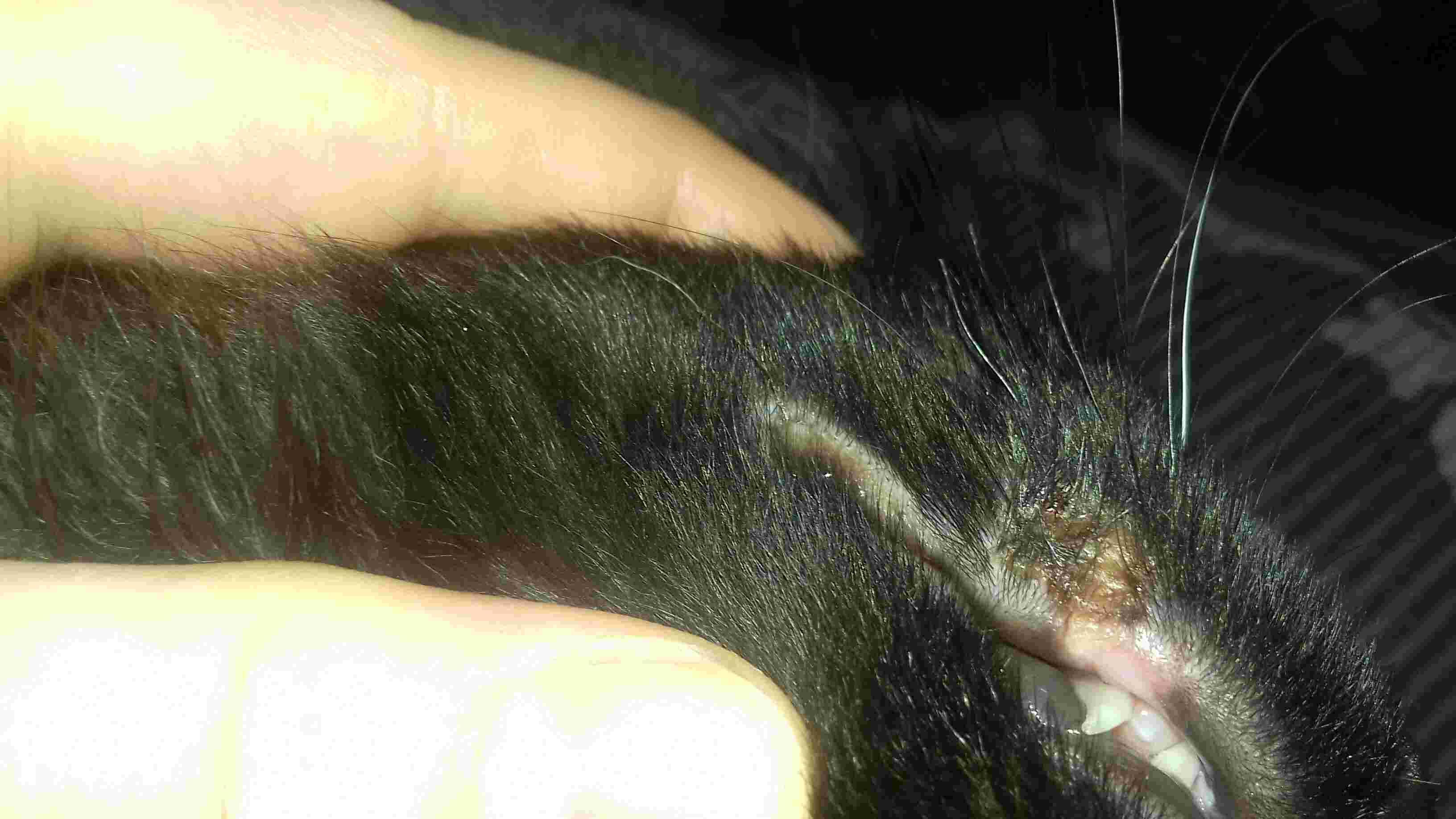 Question details sensitive content