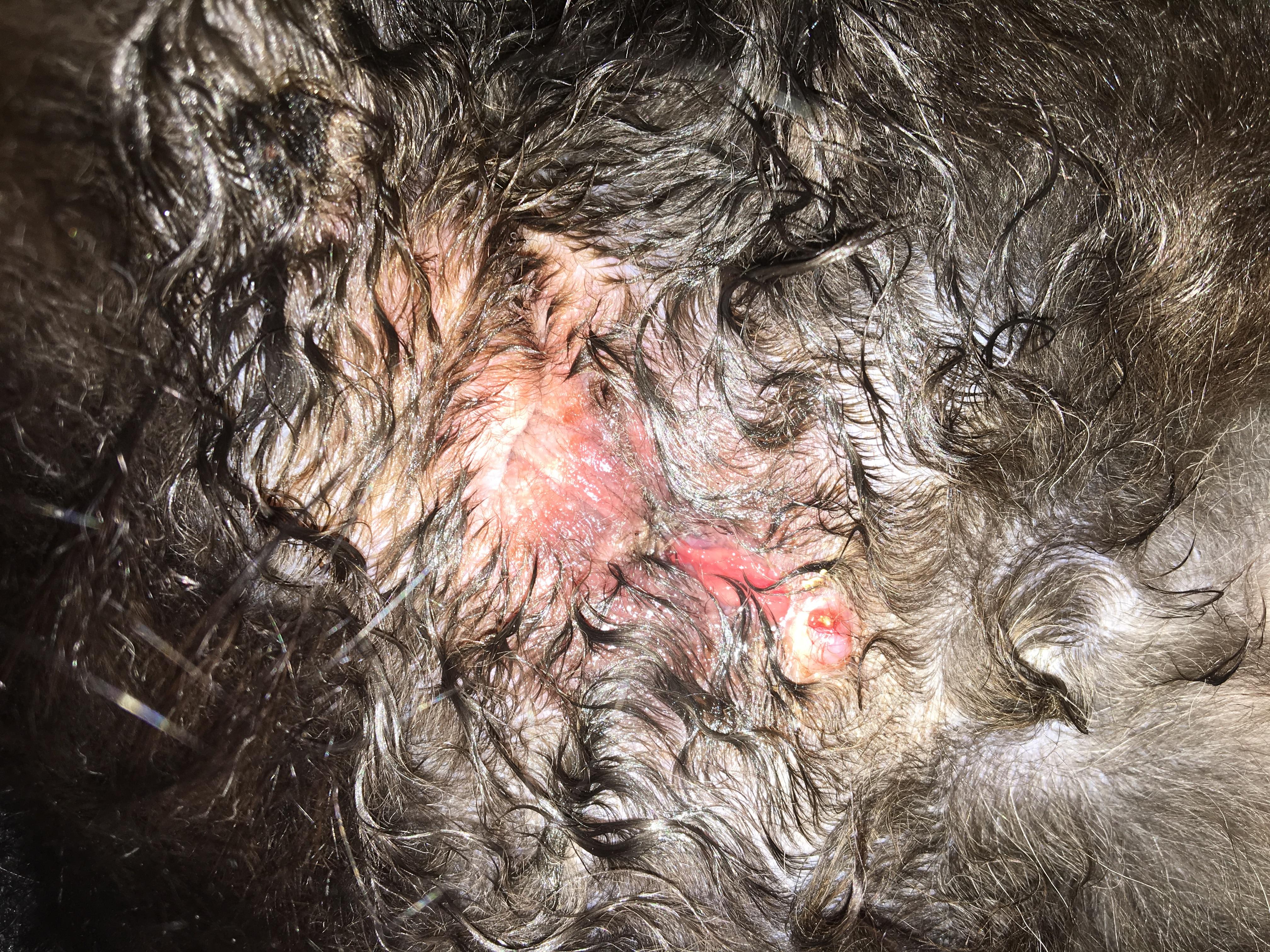 Question details sensitive content