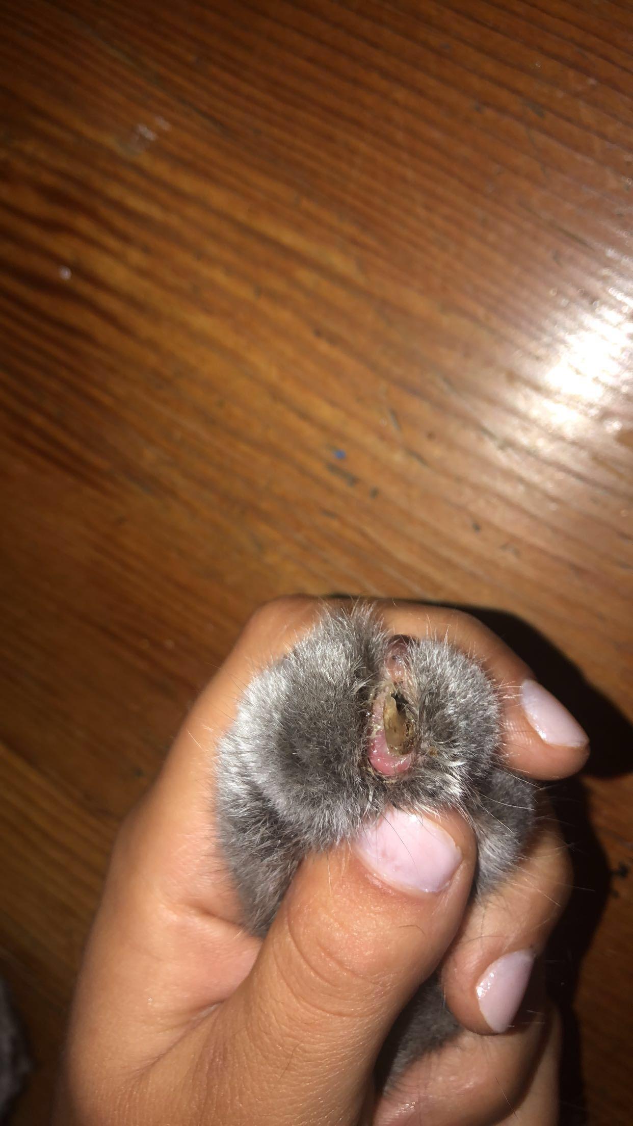 Question details sensitive content