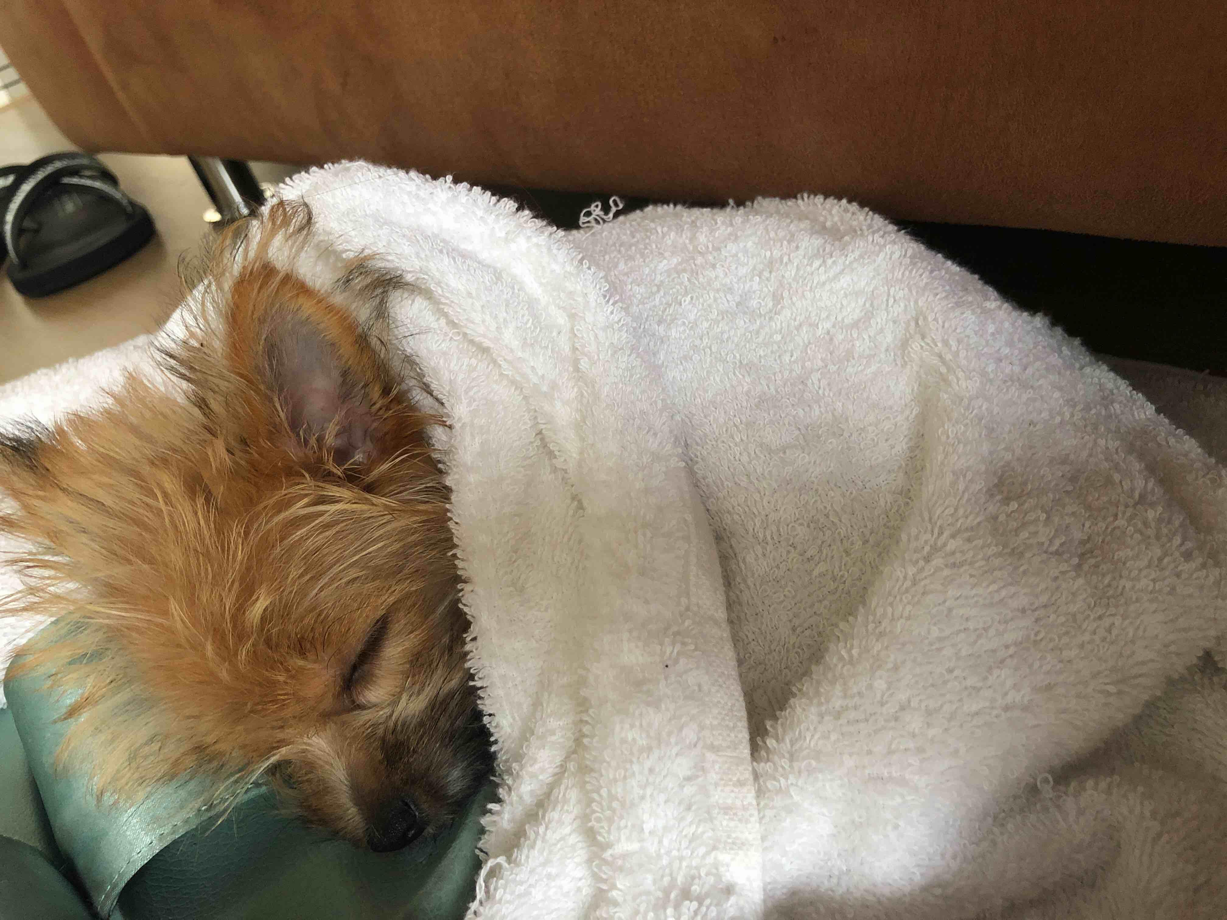 Question details sensitive content