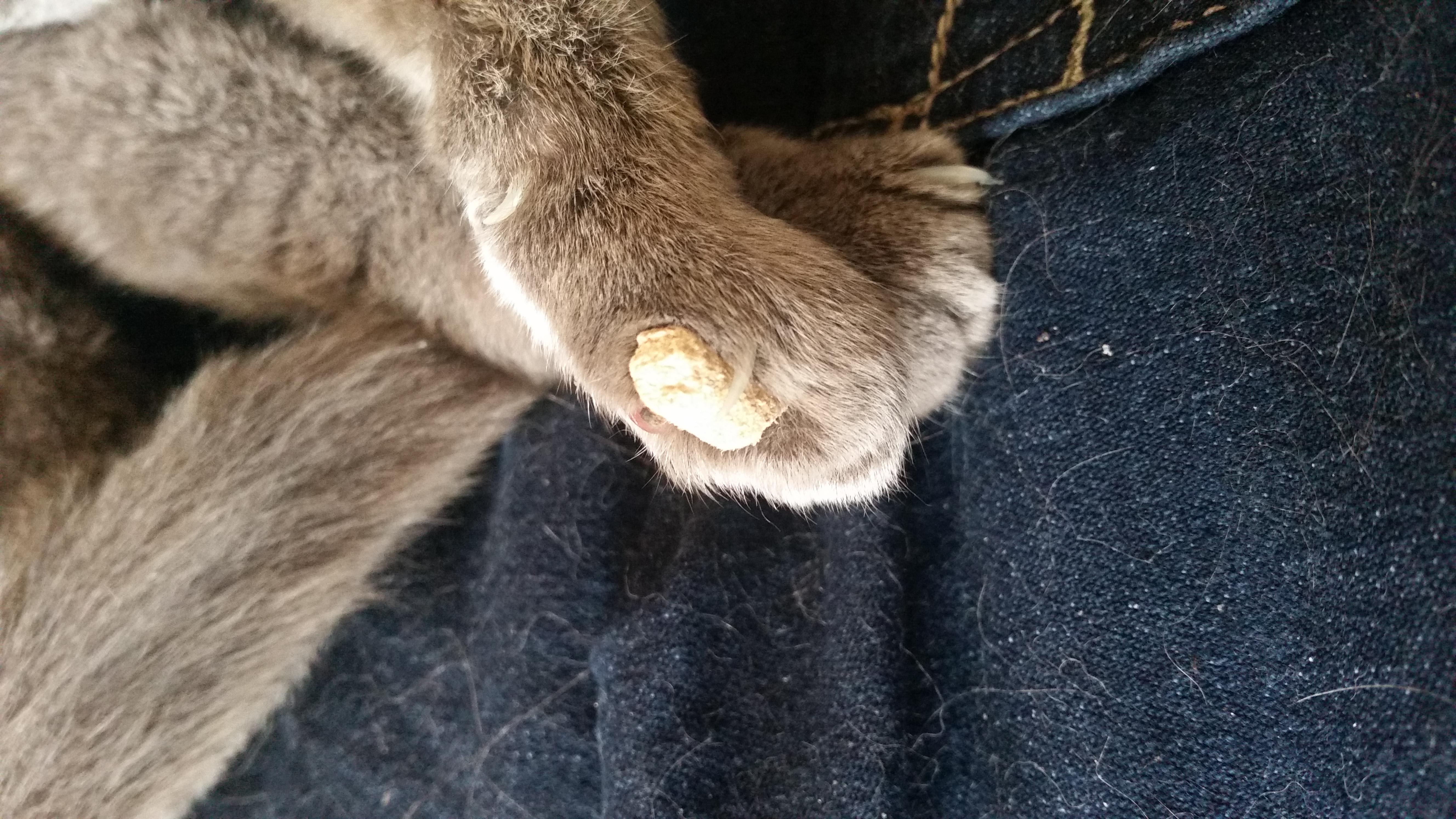 Question details sensitive content