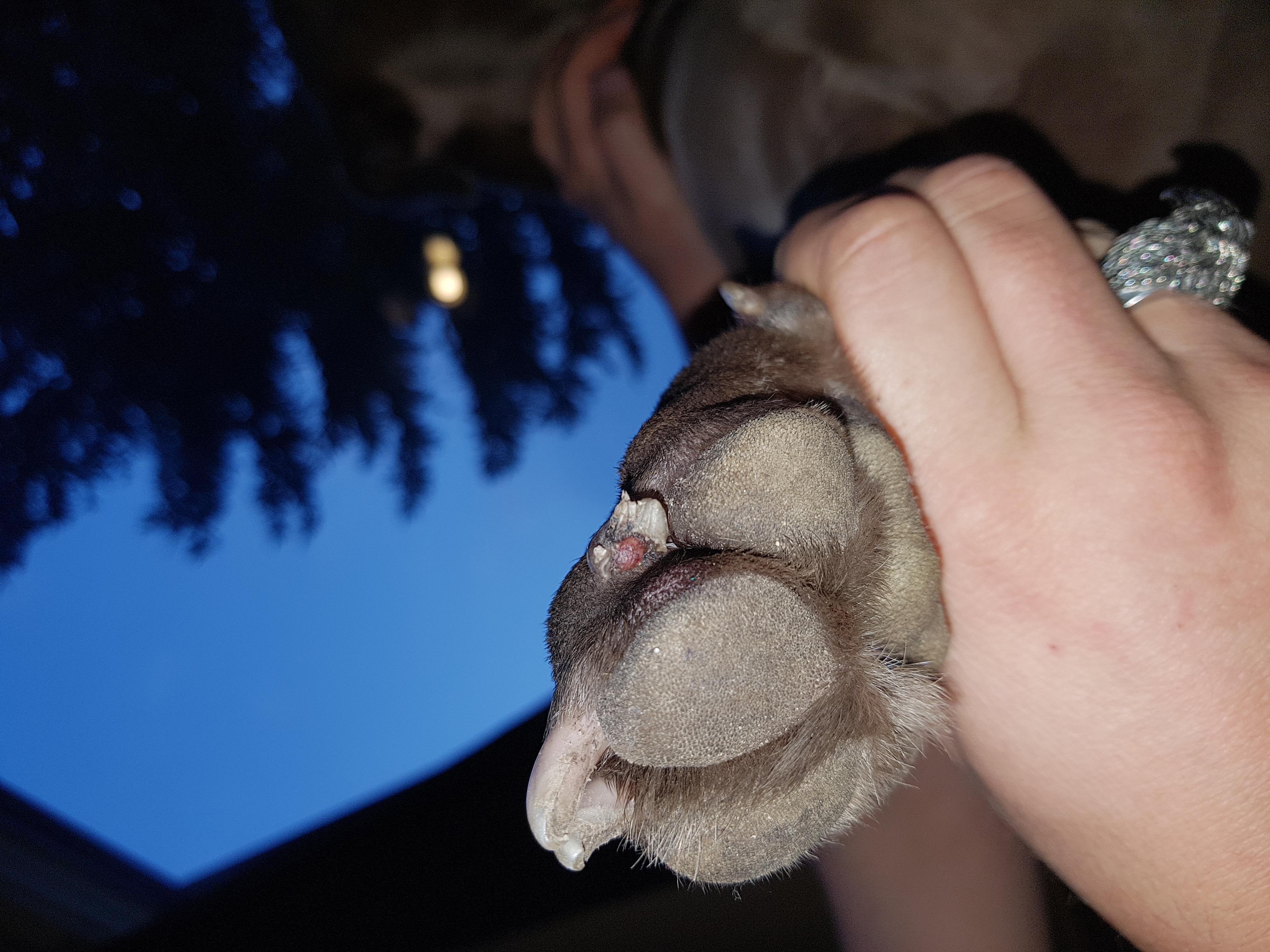 Question details sensitive content