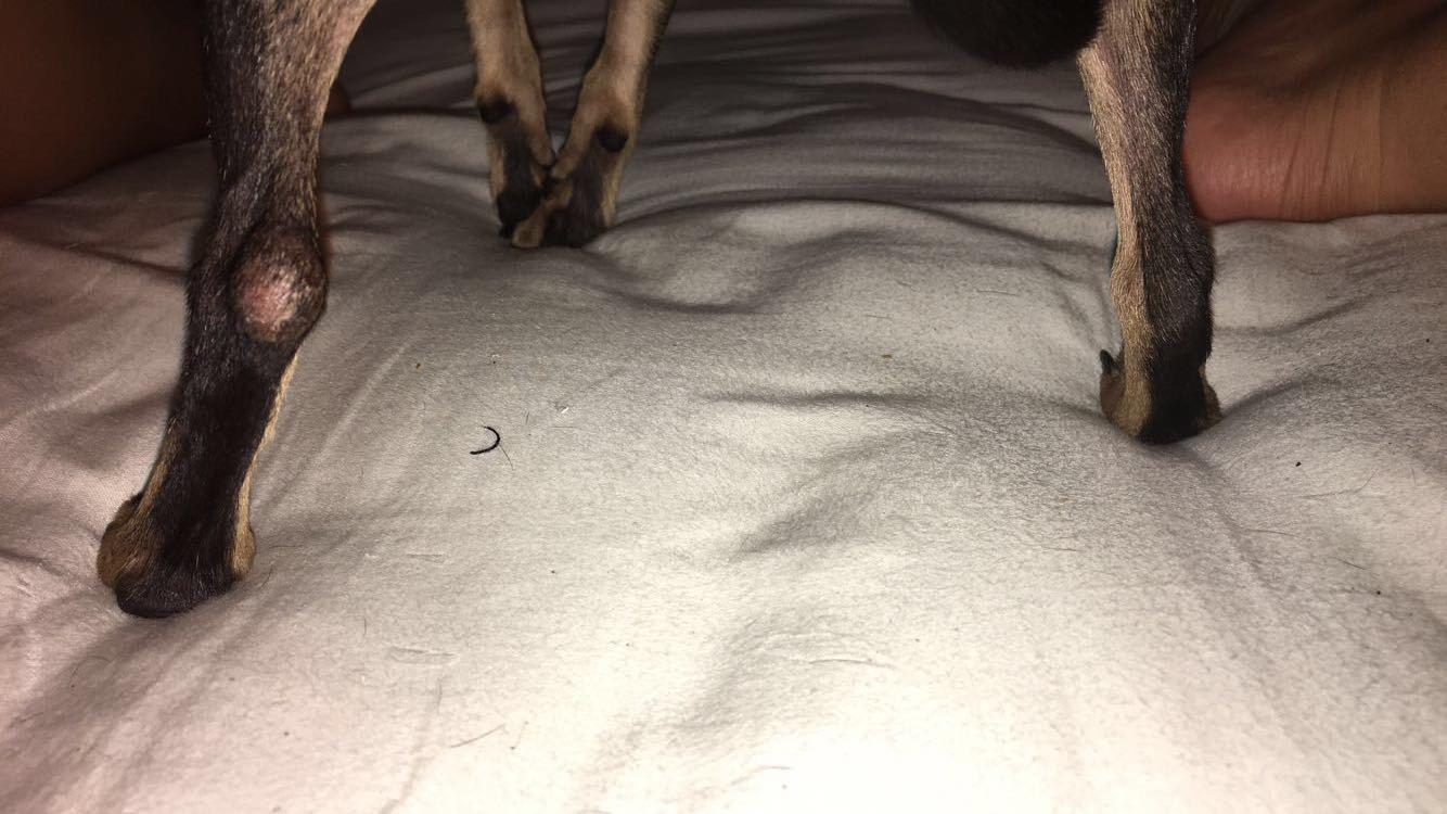 Question details sensitive content