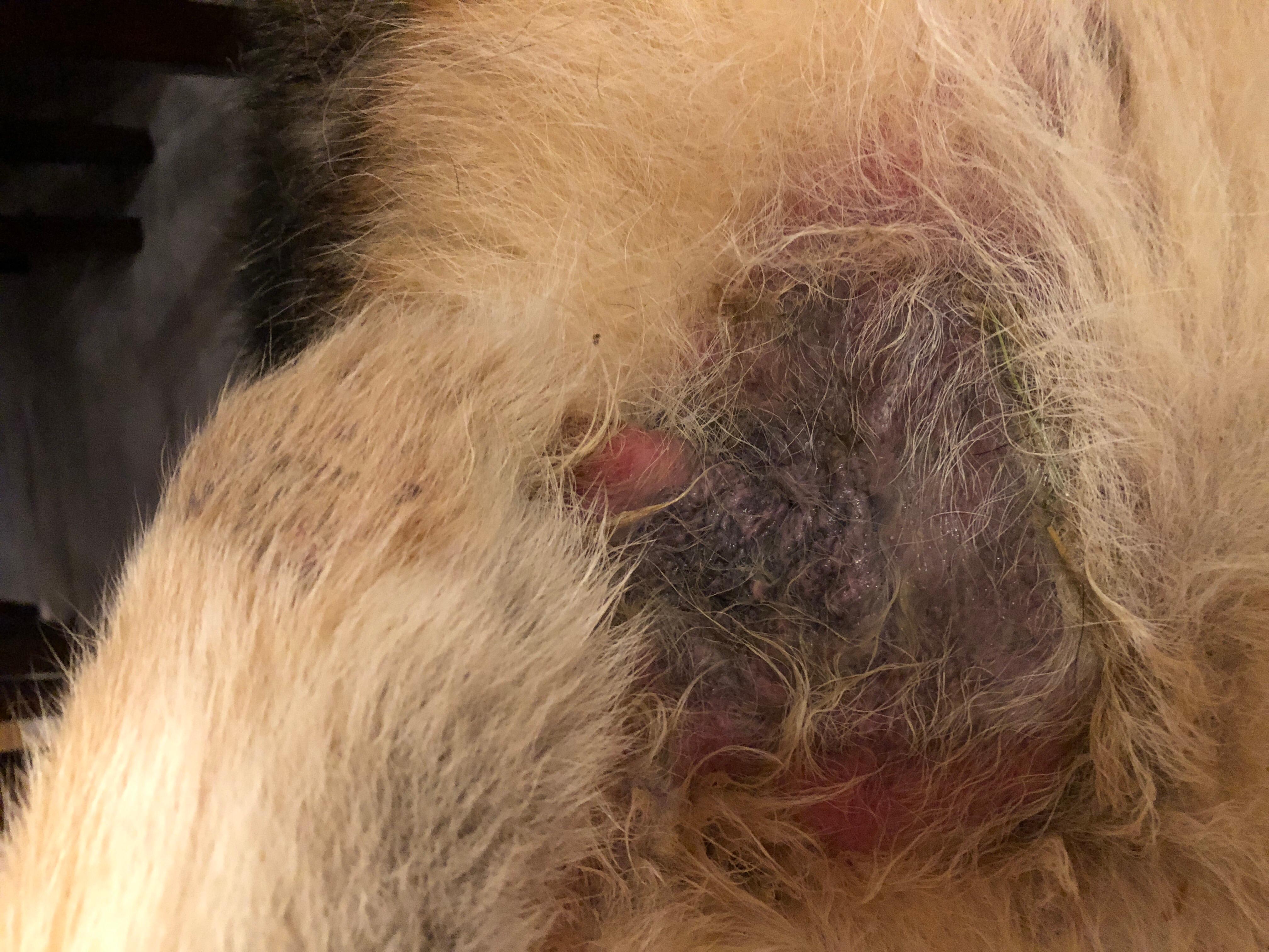 Question details sensitive content