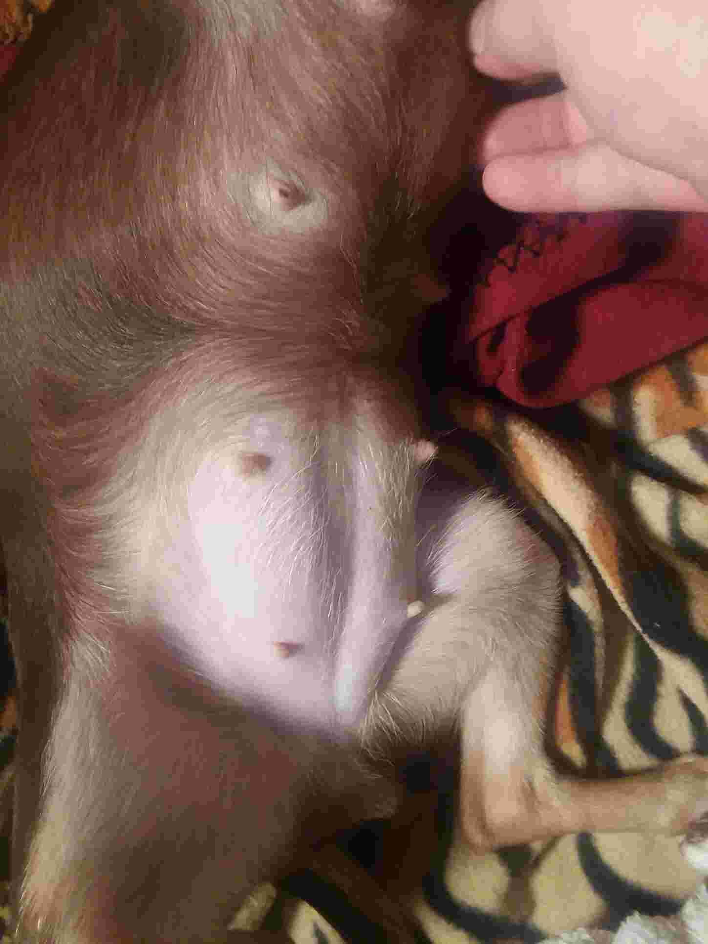 Question details sensitive content