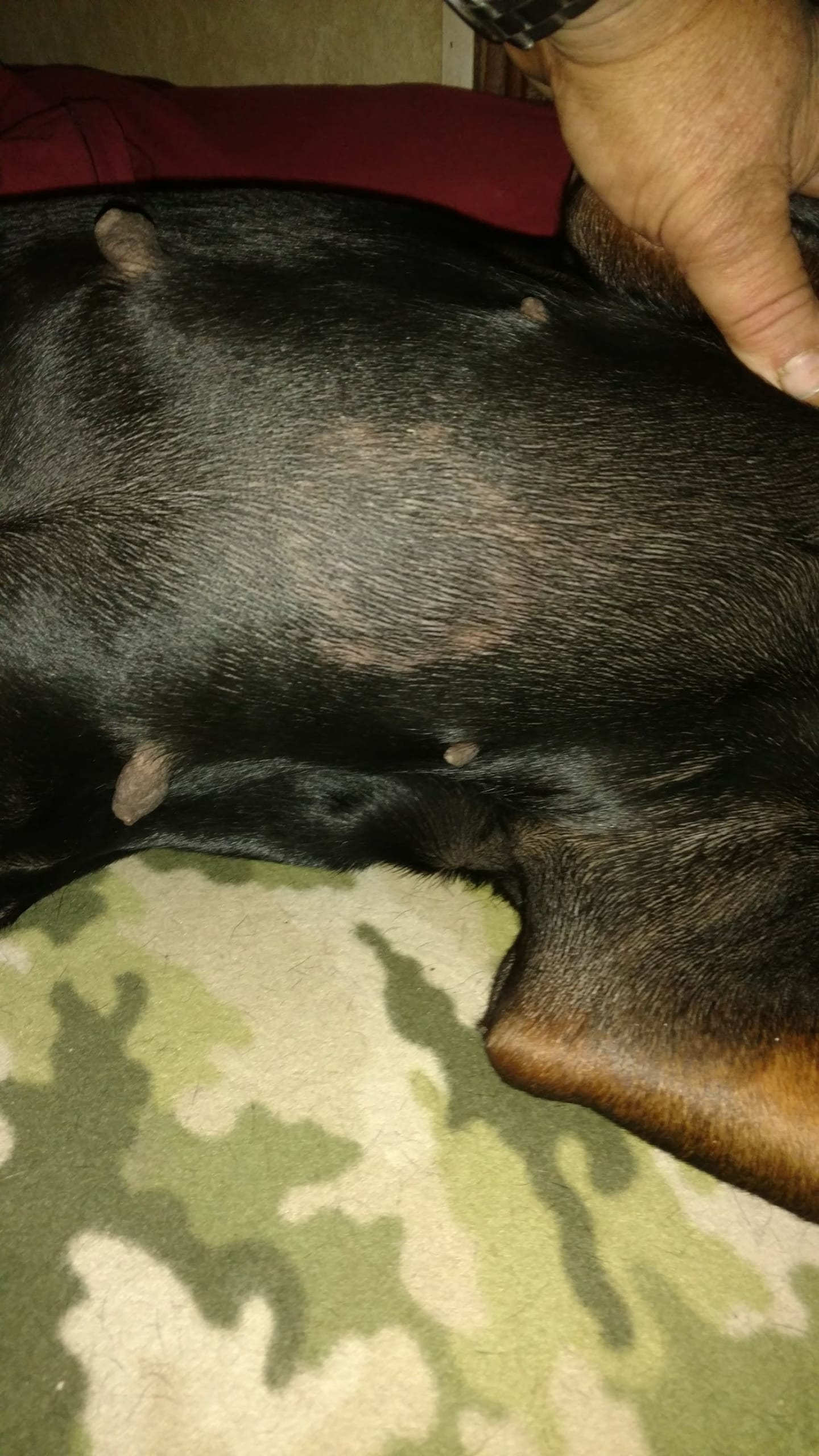 Question details sensitive content