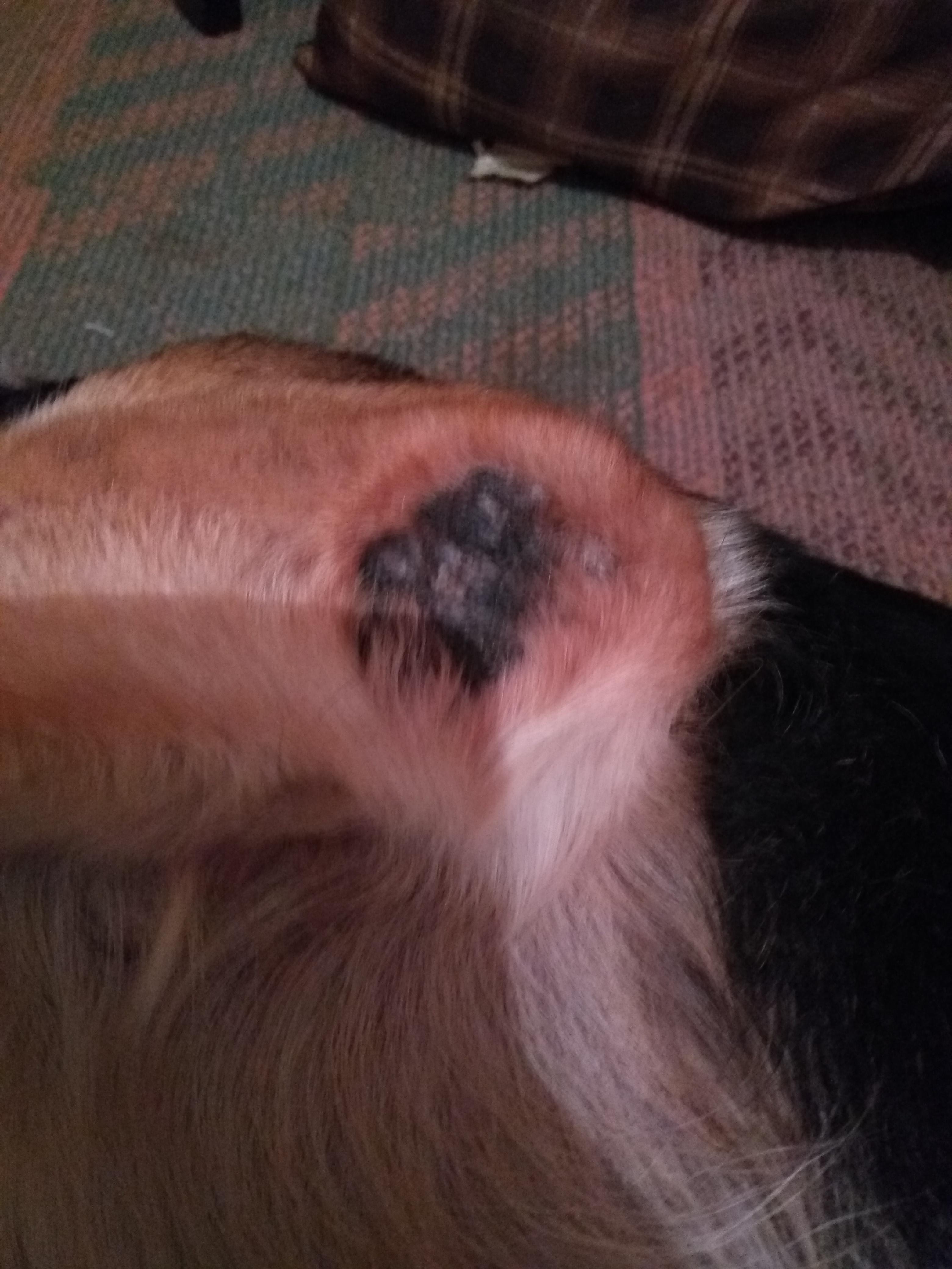 Question details sensitive content