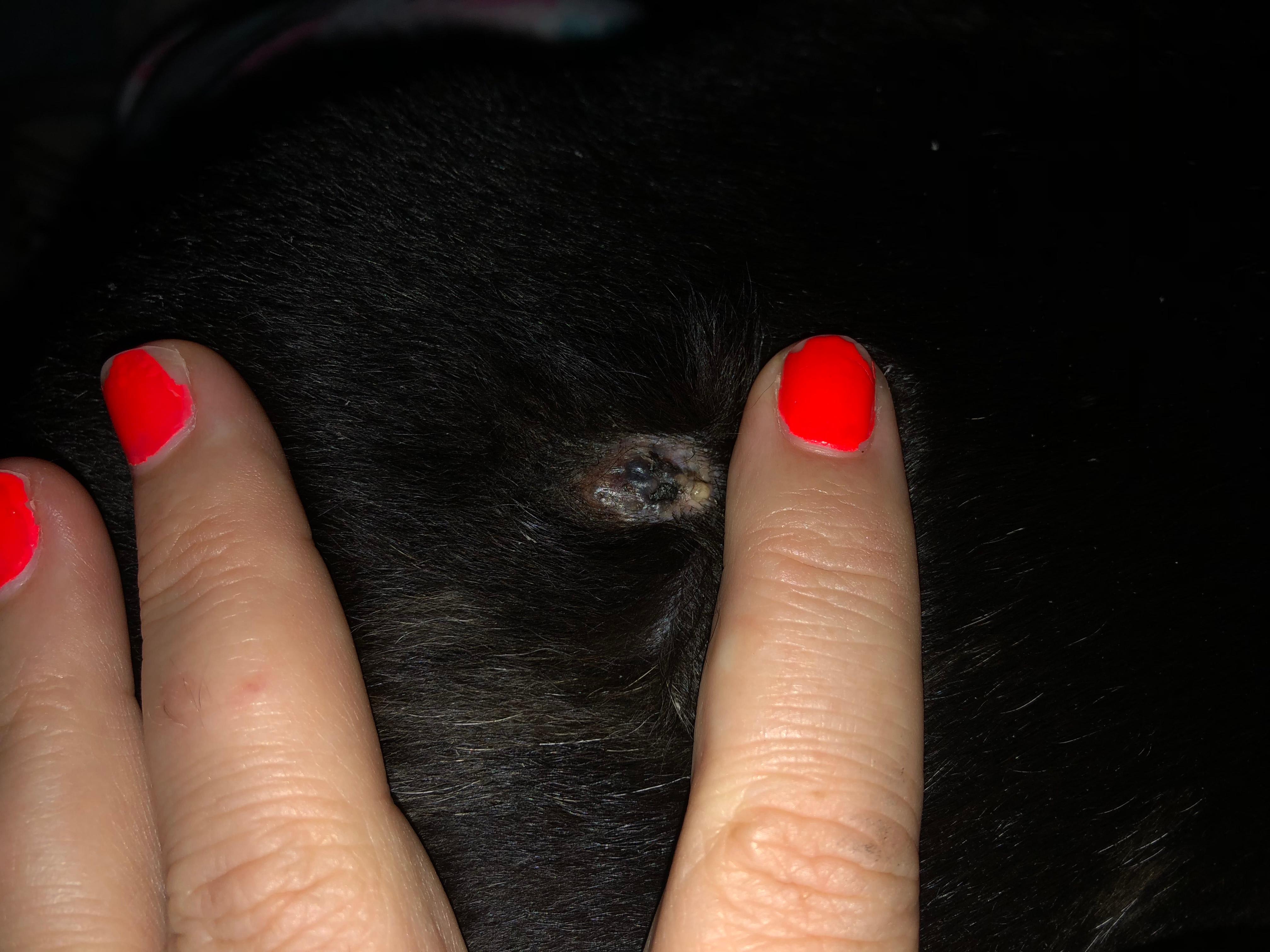 Question details sensitive content