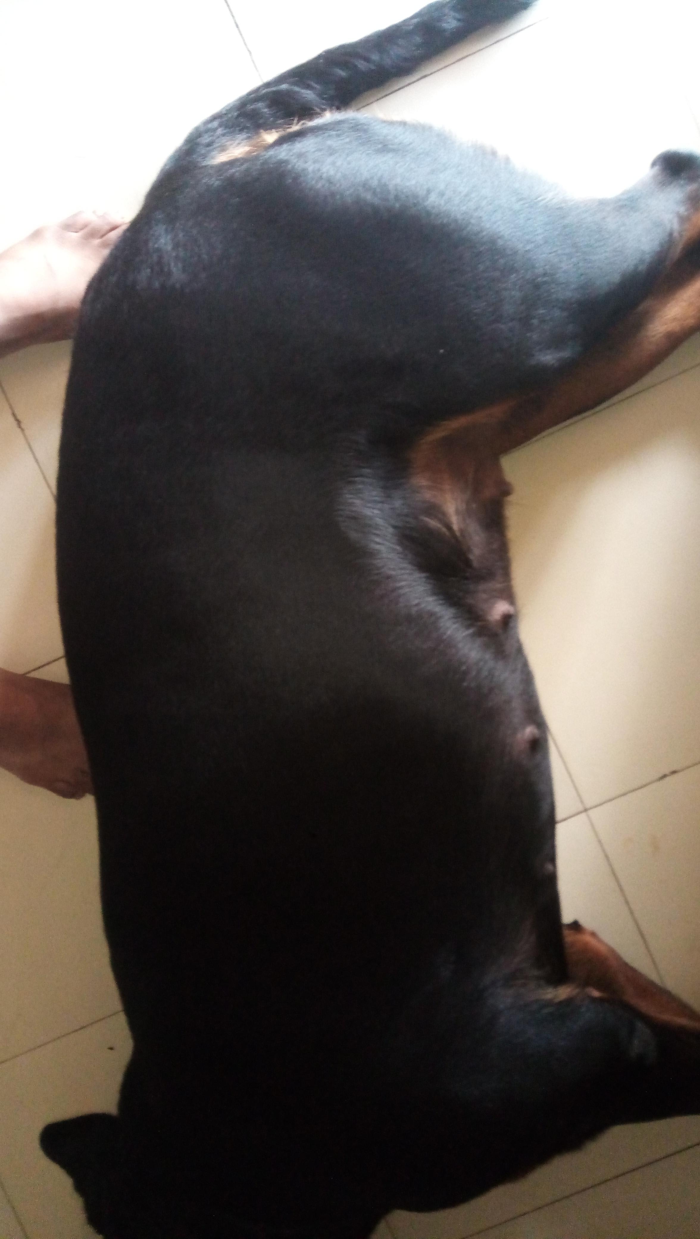 Question details sensitive content