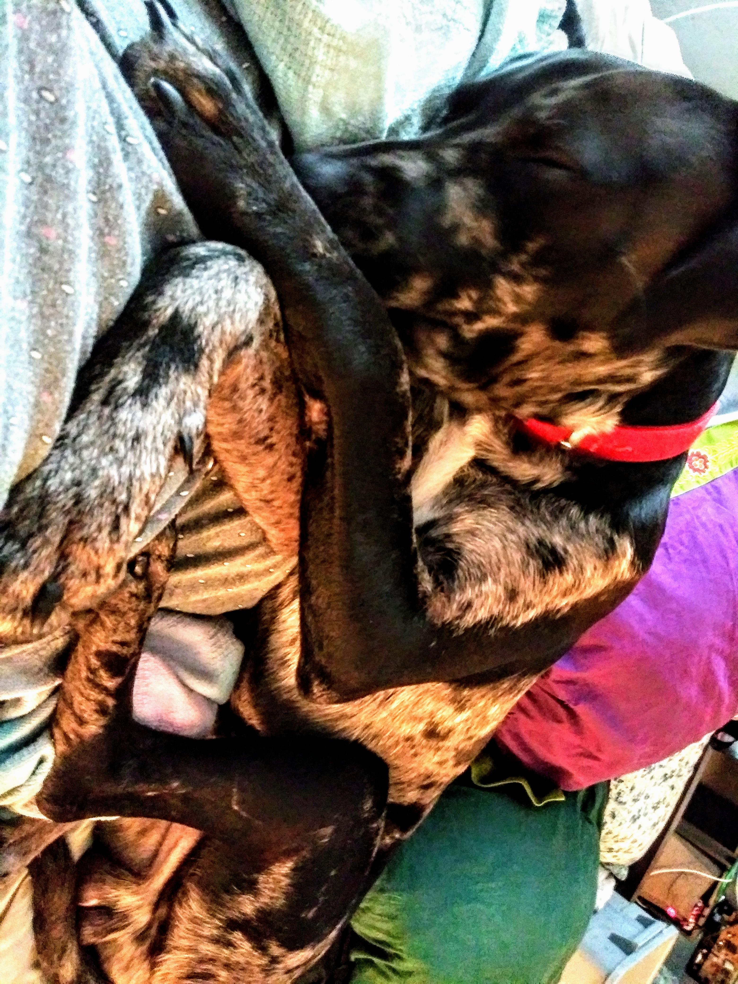 Question details sensitive content