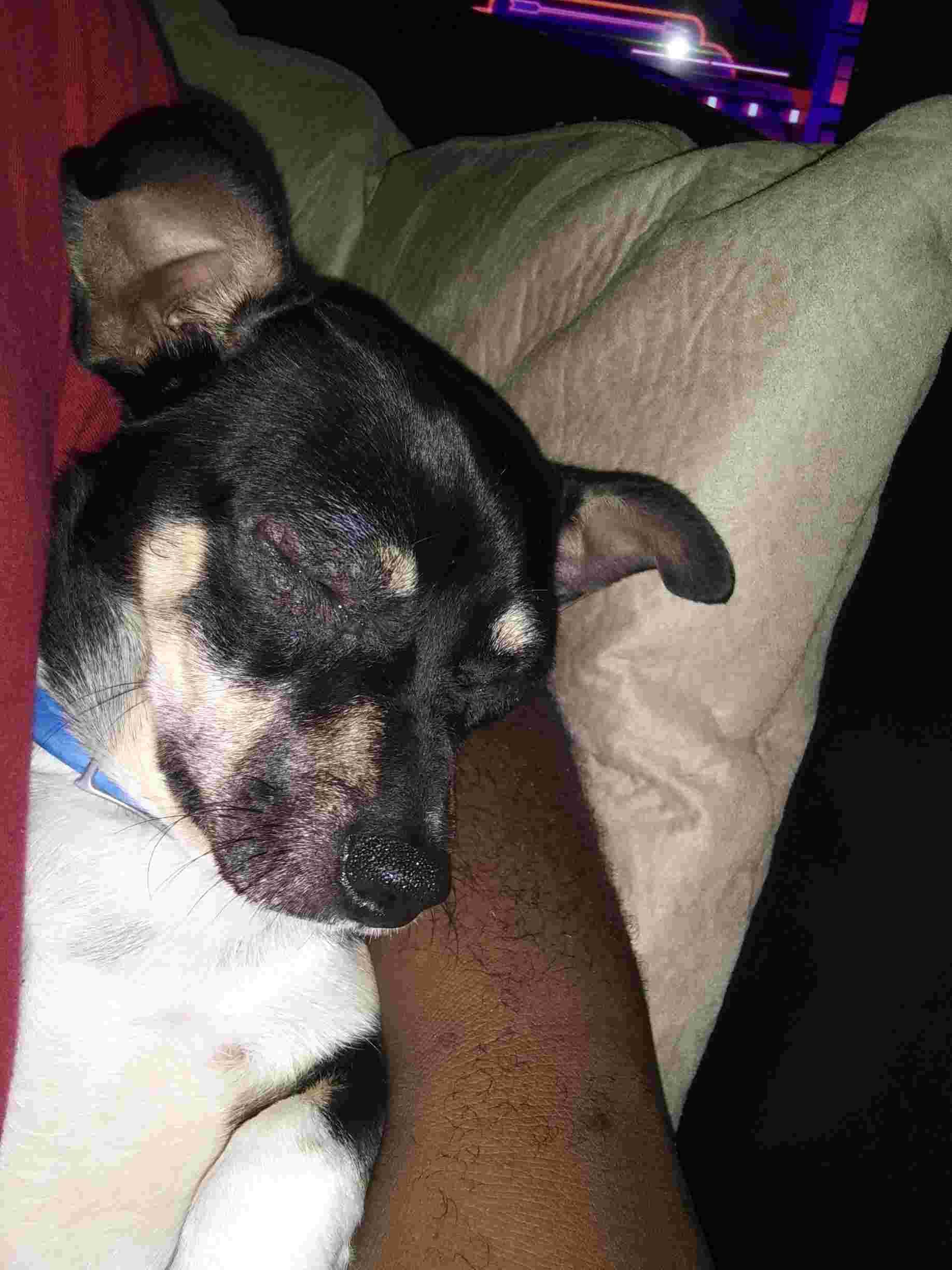 Question details sensitive content