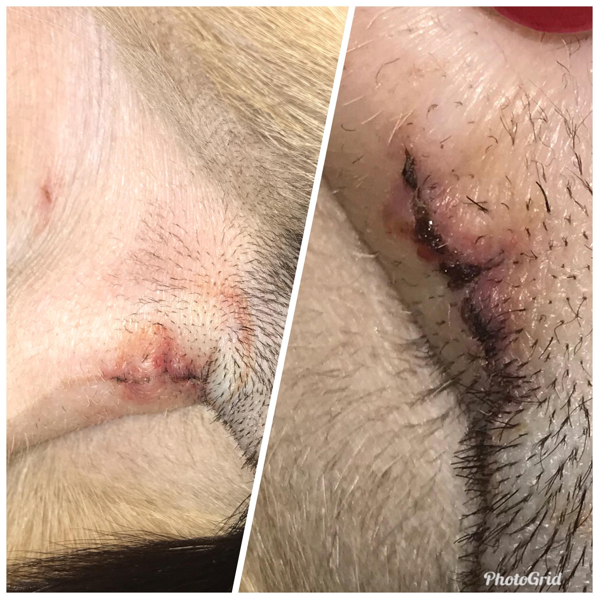 Question details sensitive content