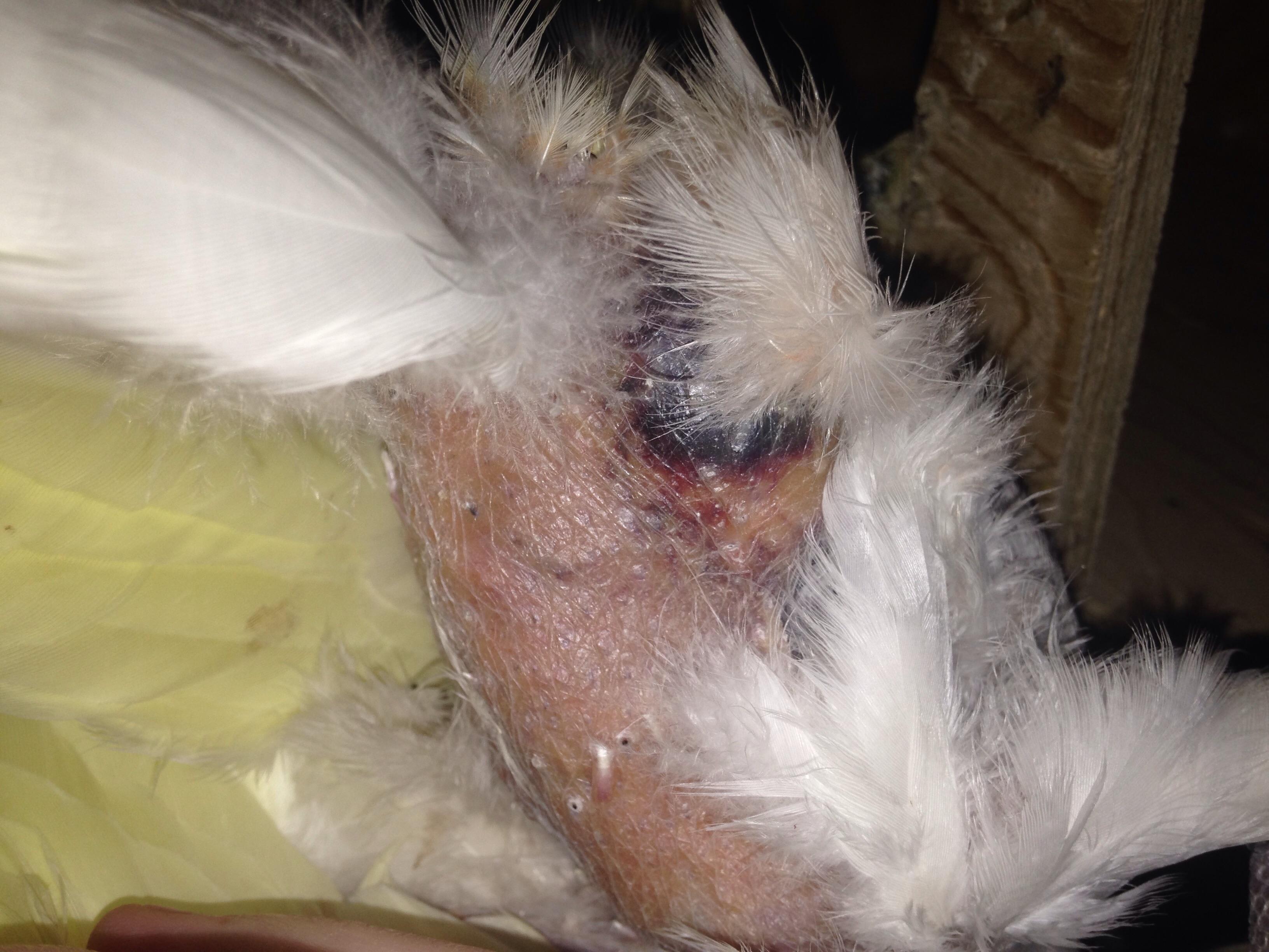 Question details sensitive content