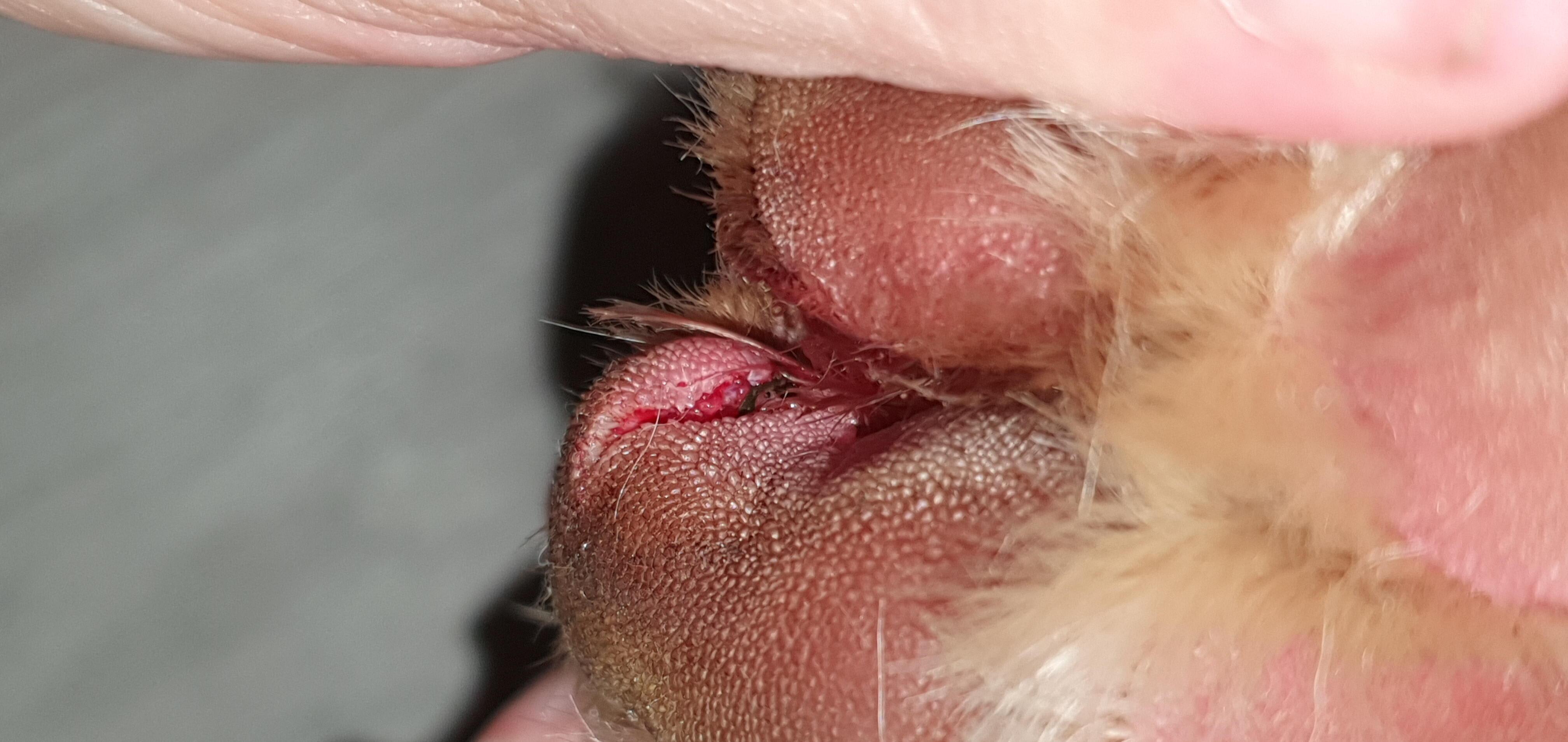 Question details sensitive content