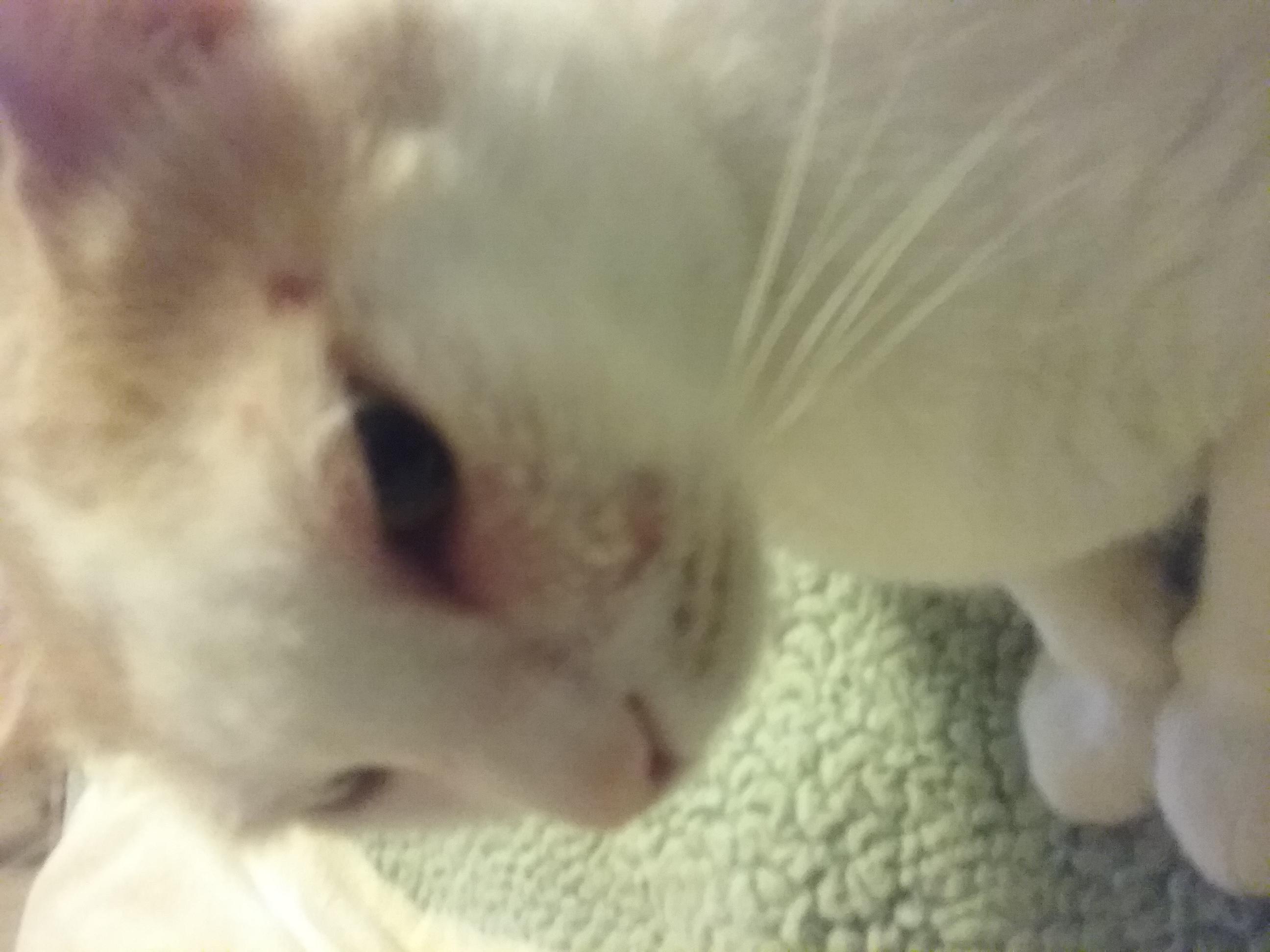 Question details sensitive content