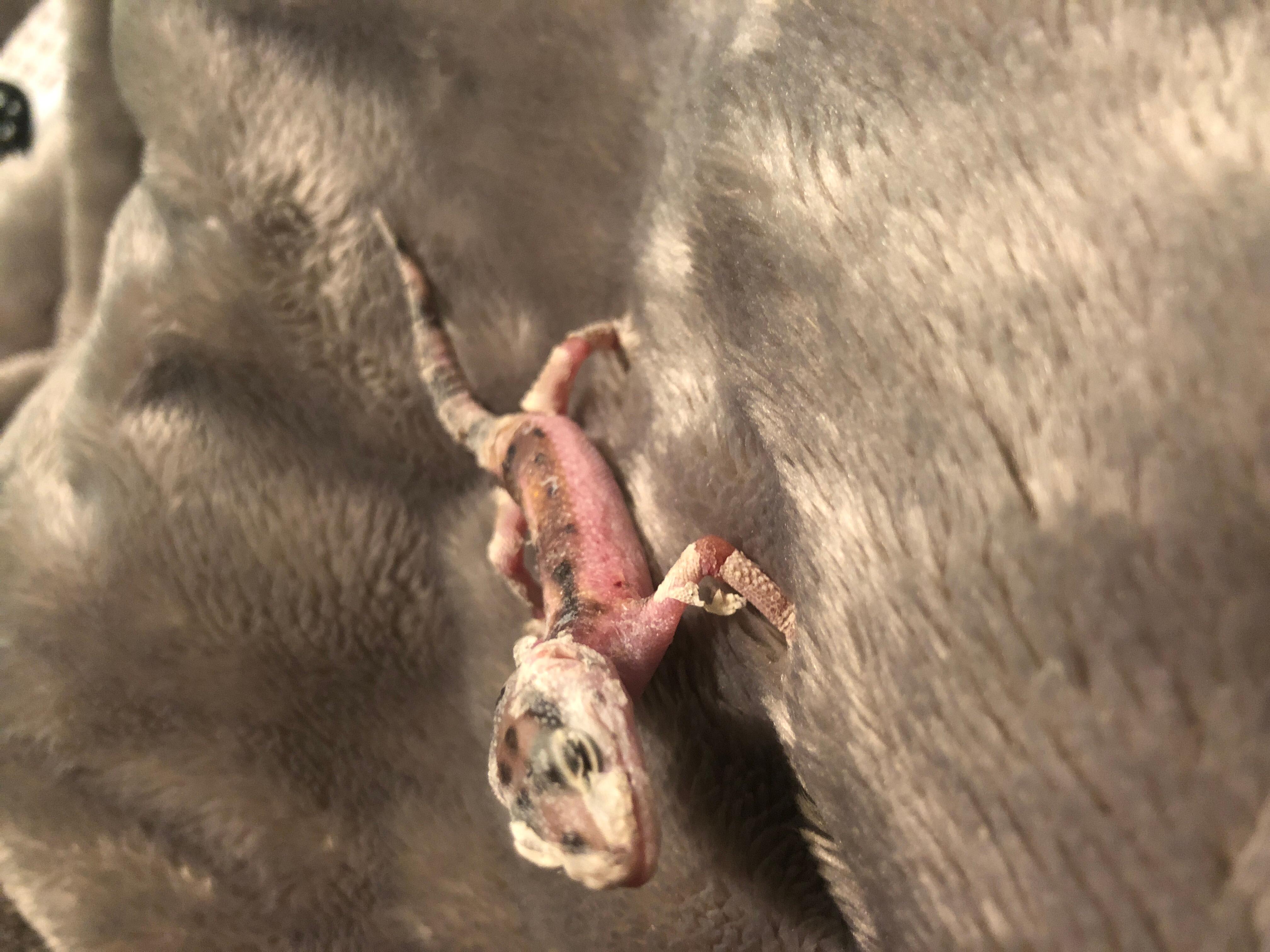 Question details sensitive content