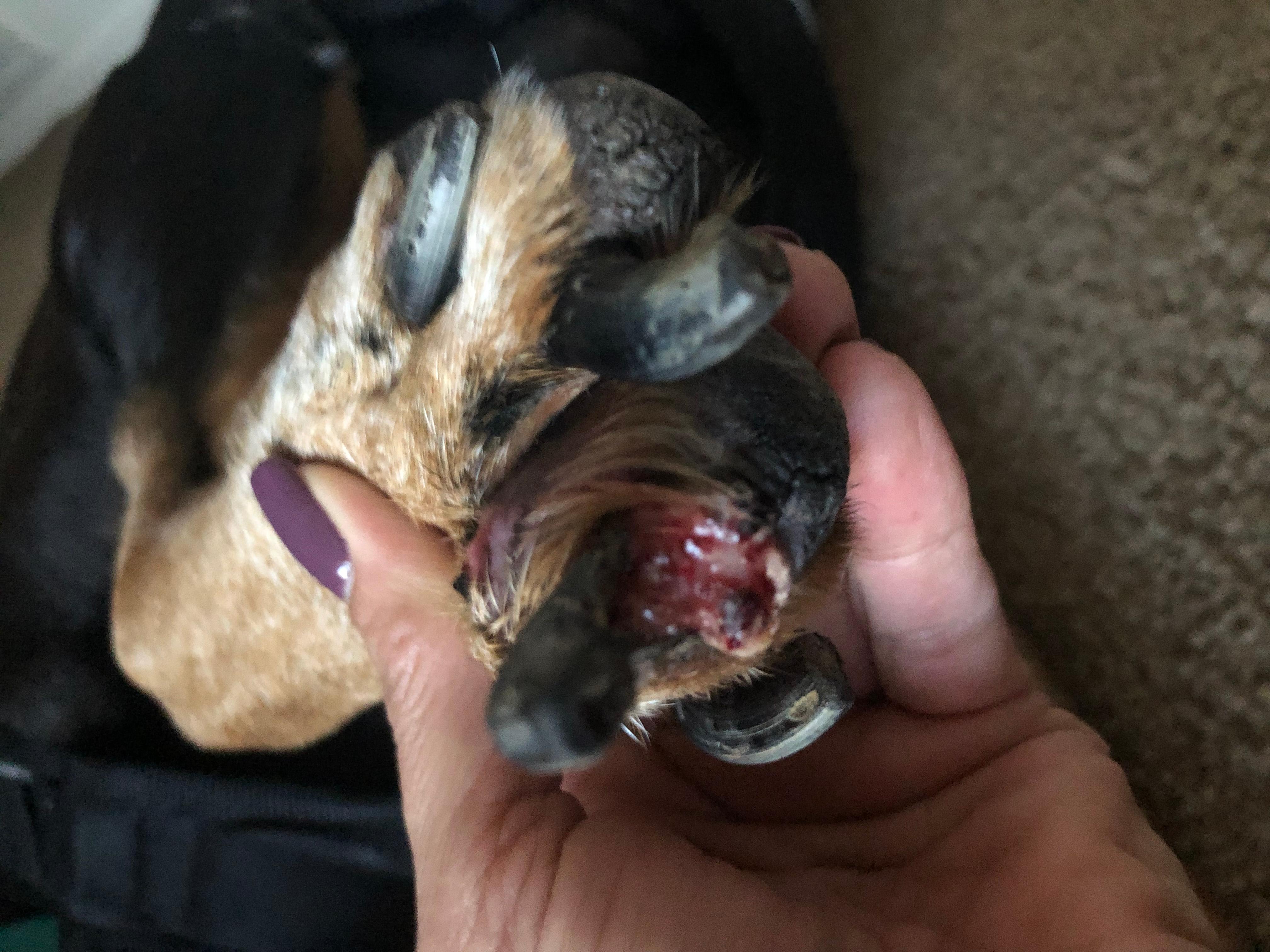 Question details sensitive content