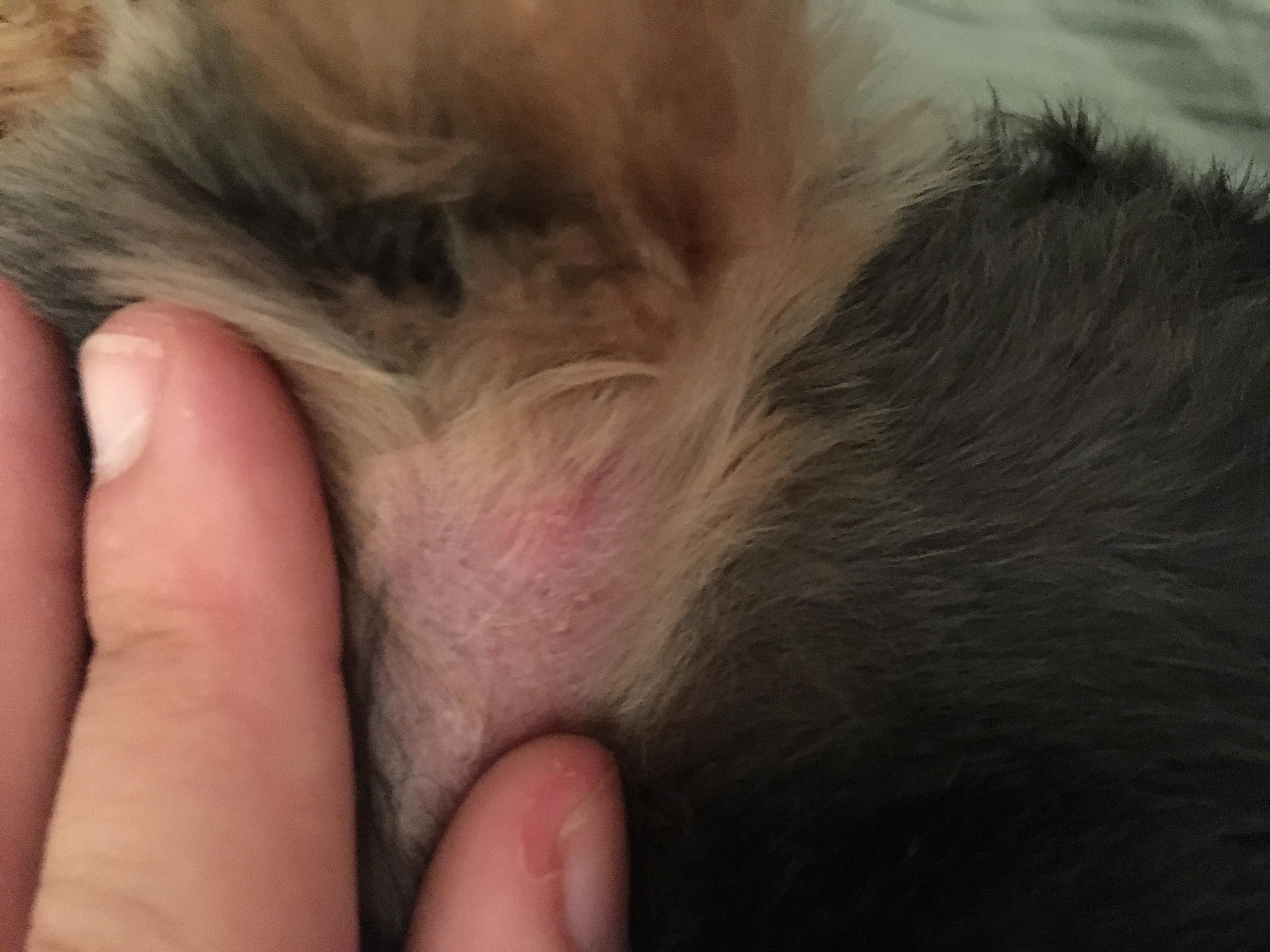 Question details sensitive content