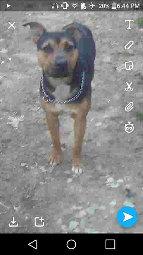 Question details sensitive content