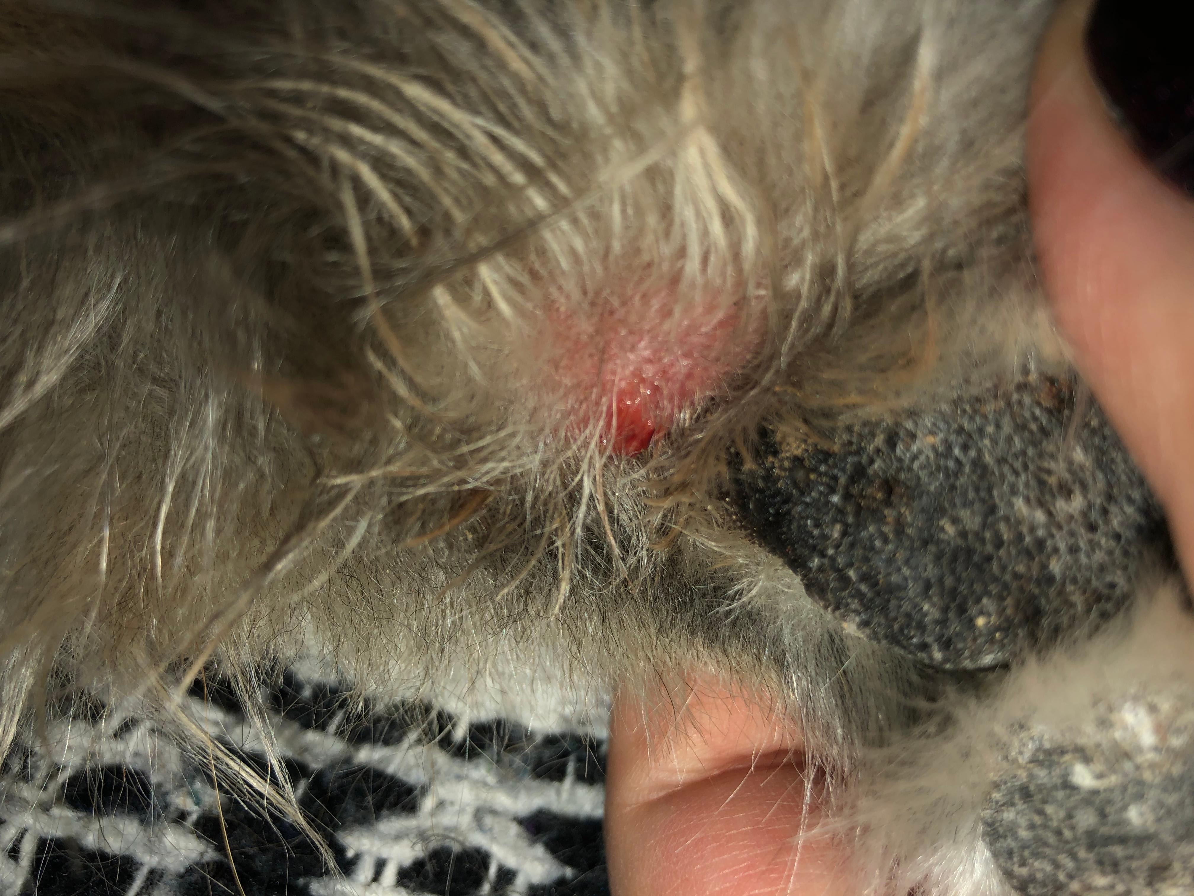 Question details sensitive content