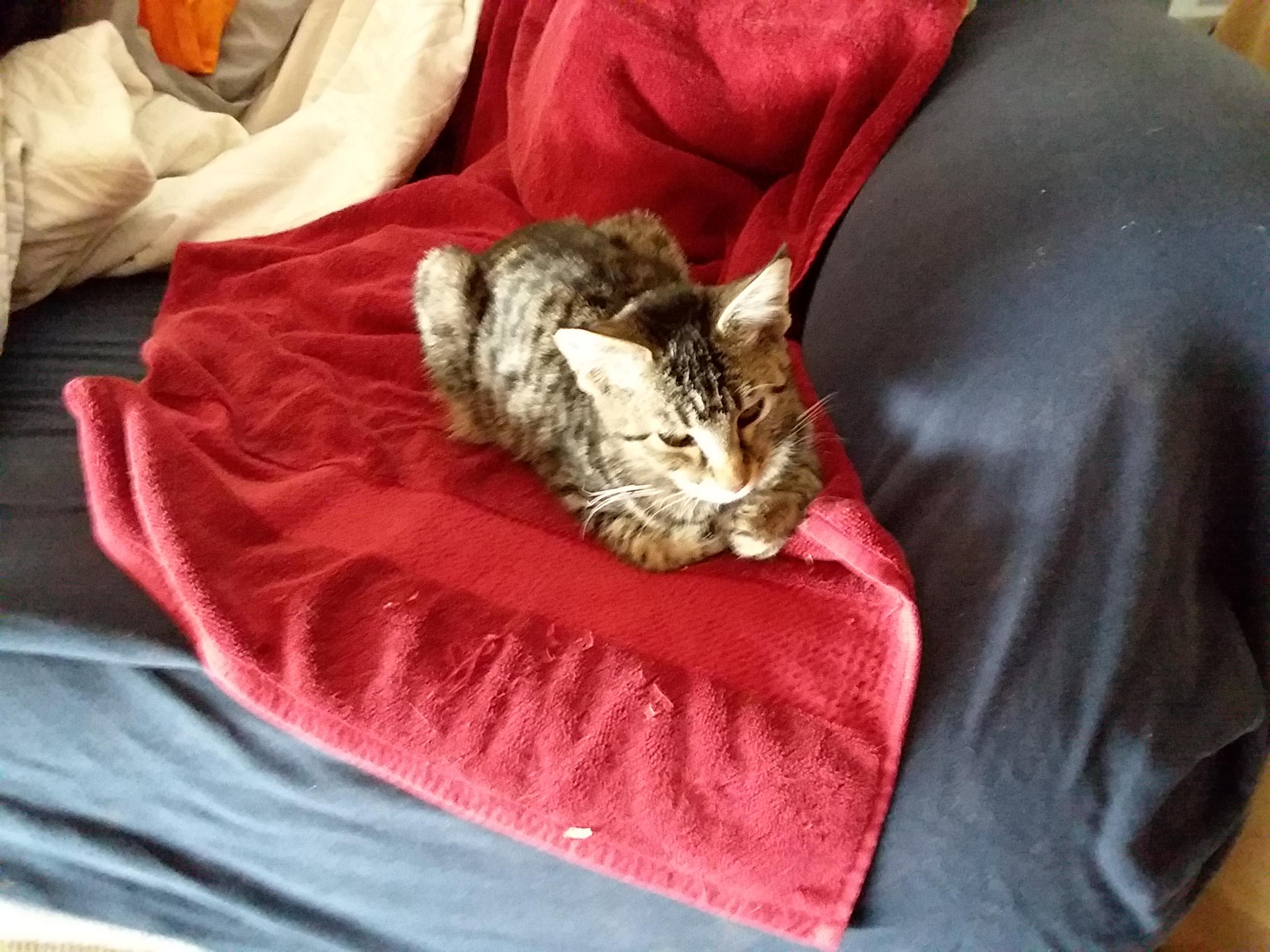 Question details sensitive content