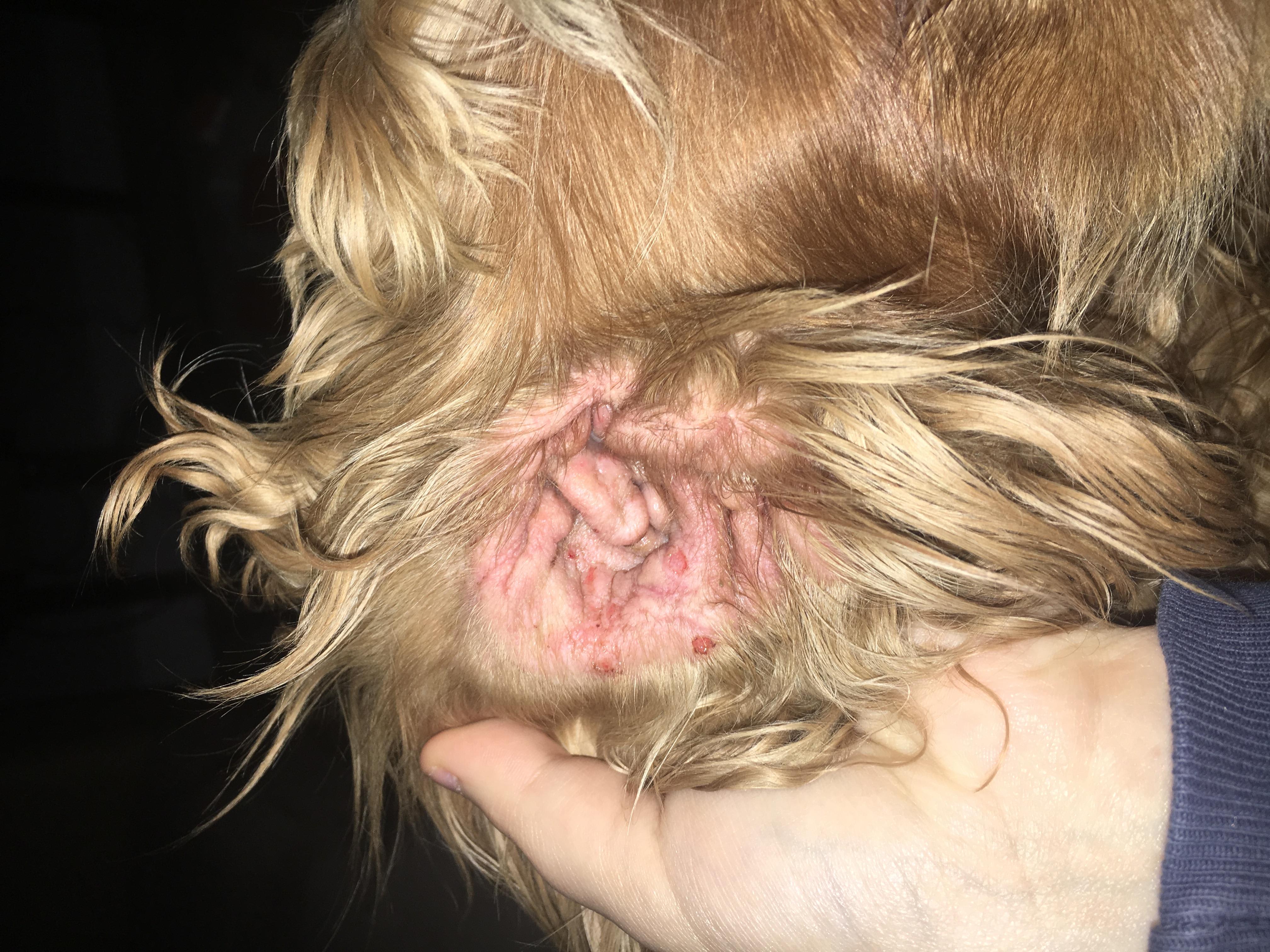 Question details sensitive content