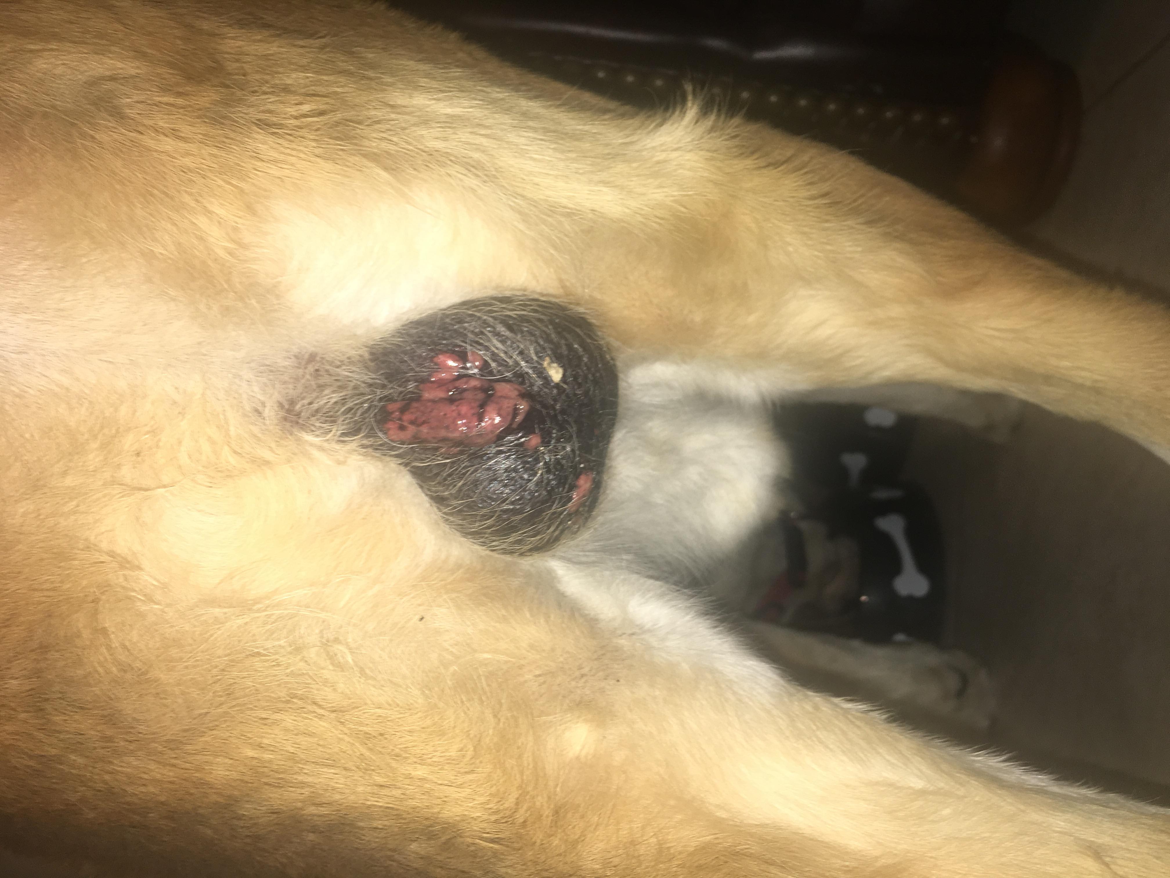 Question details sensitive content