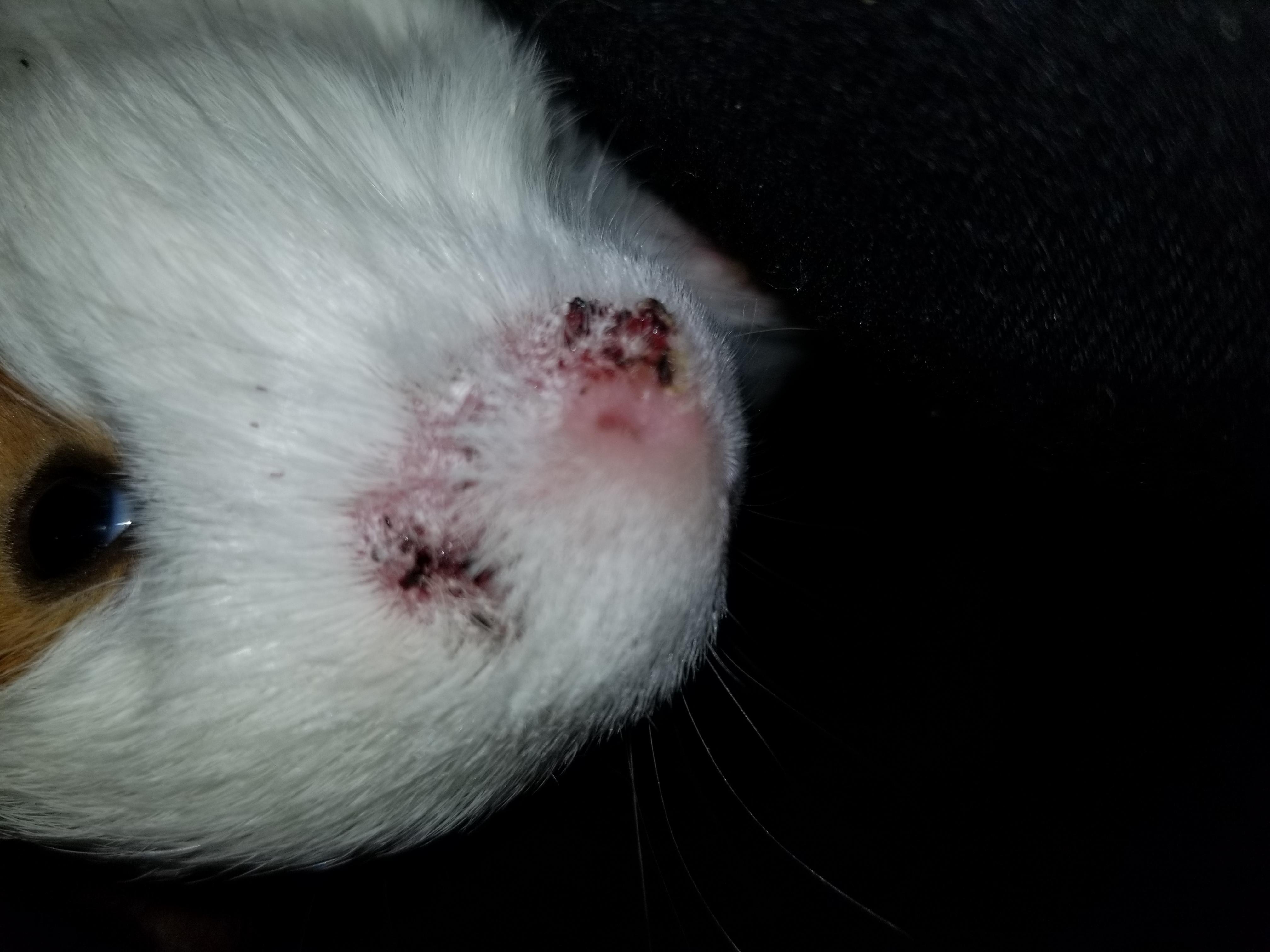 Question details sensitive content