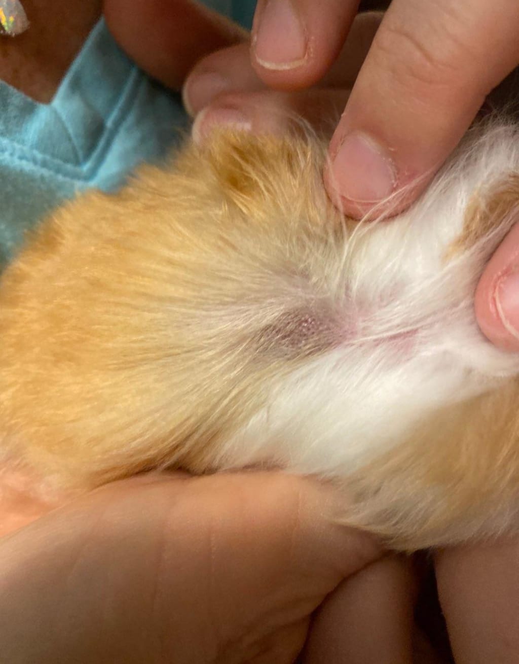 Question details sensitive content