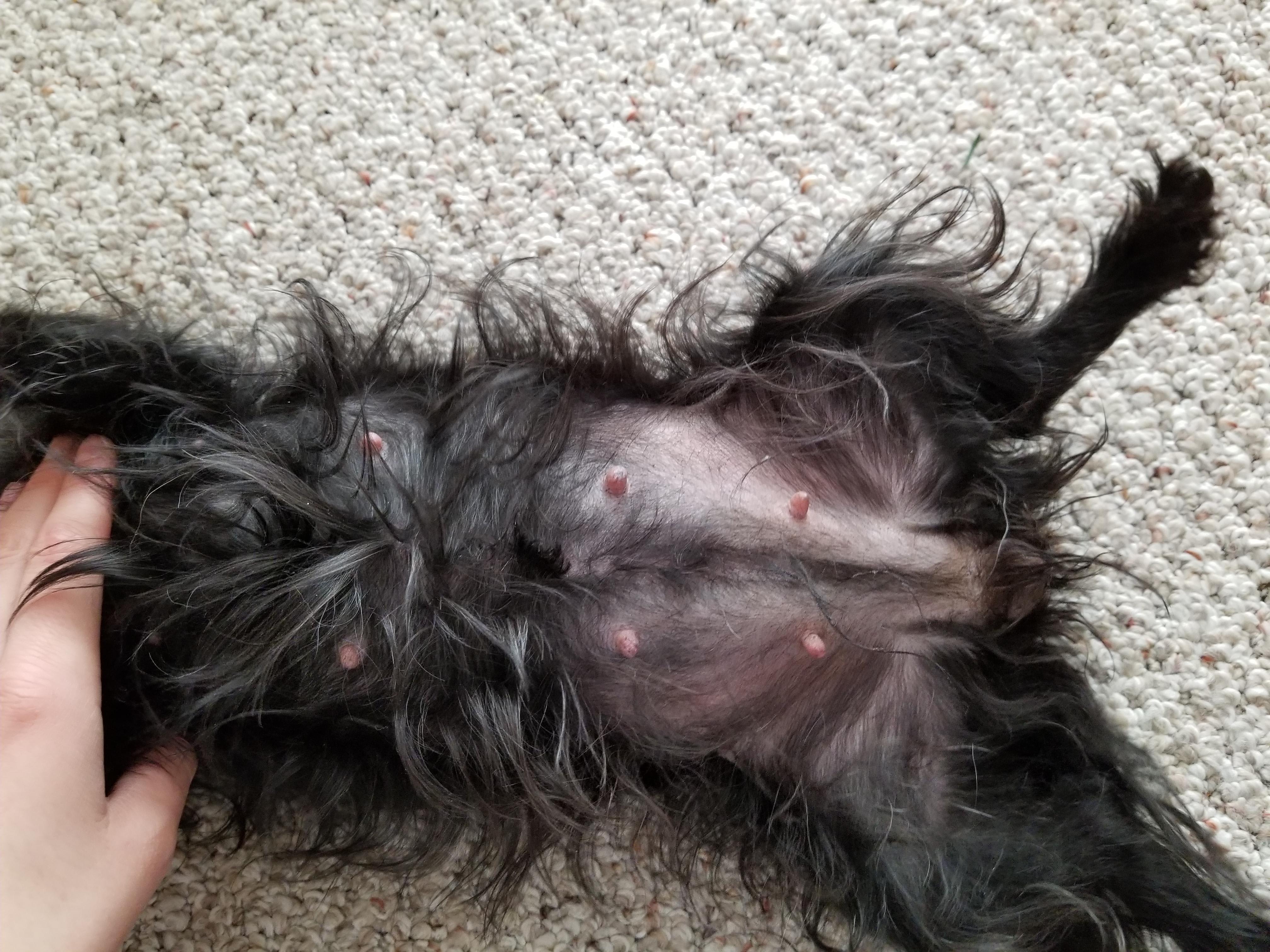 Question details sensitive content