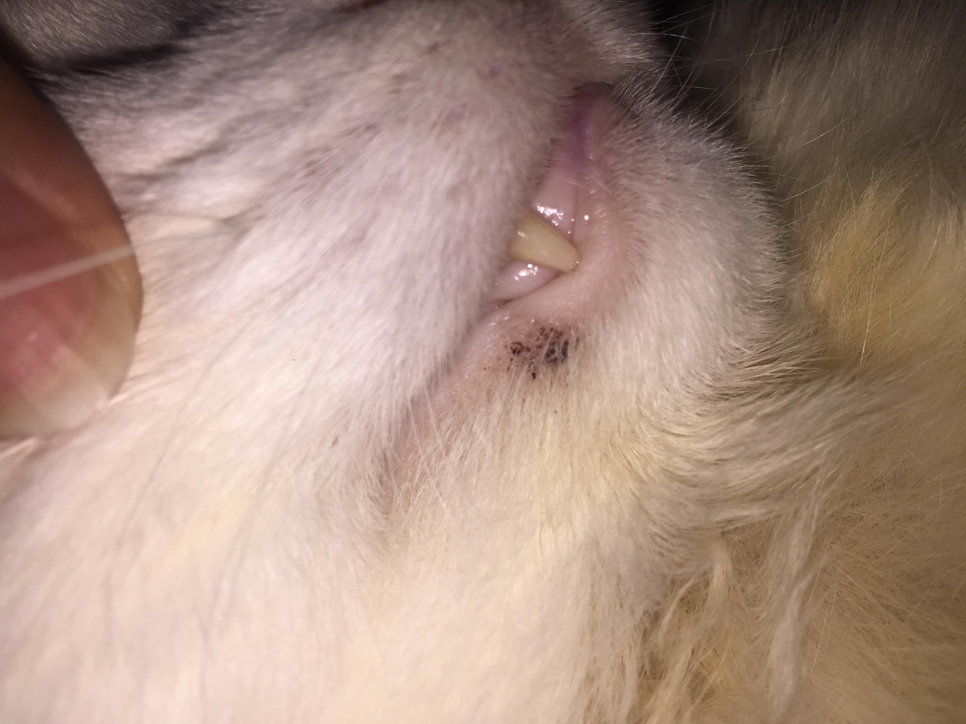 Question details sensitive content