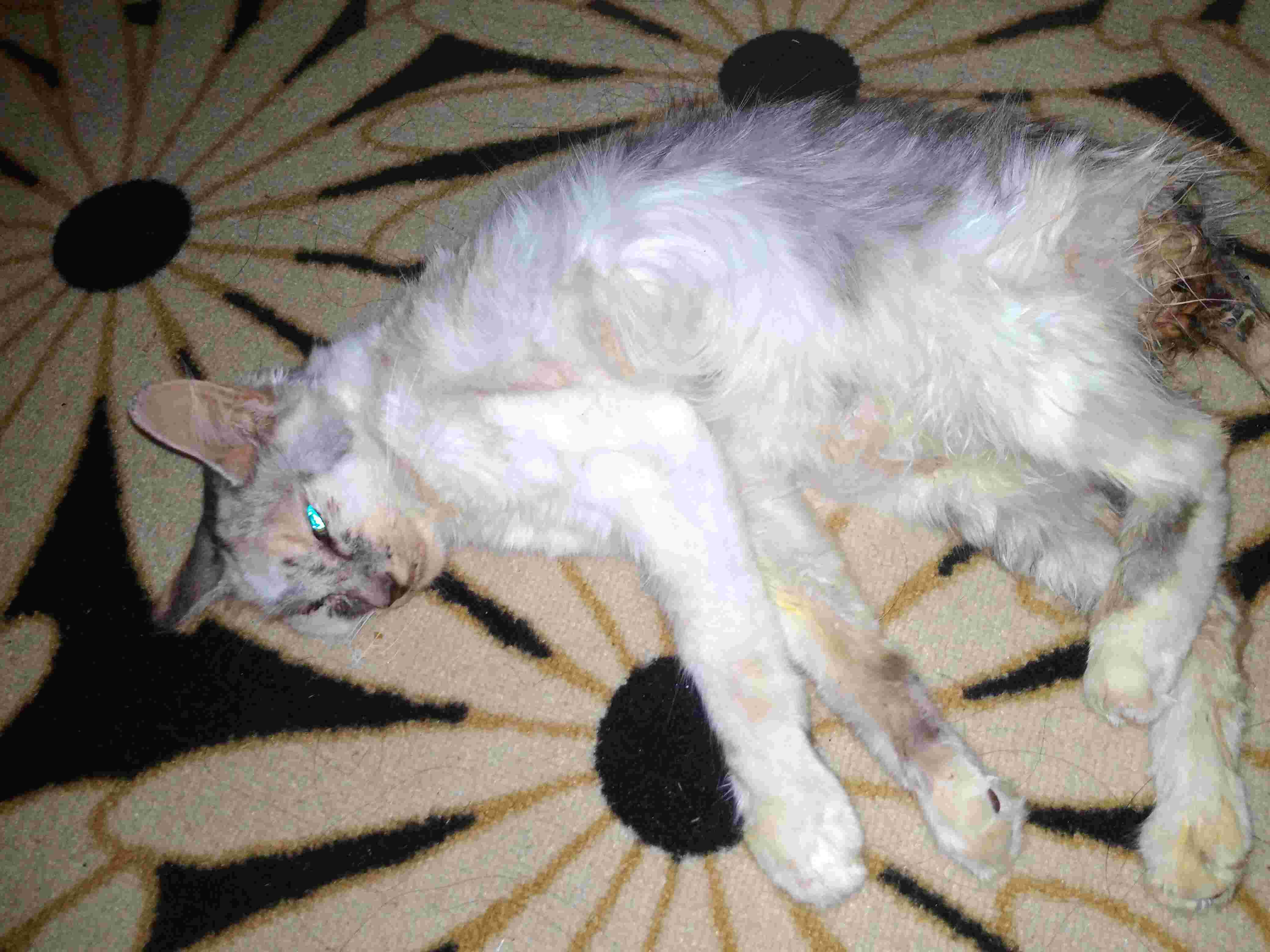 Question details sensitive content