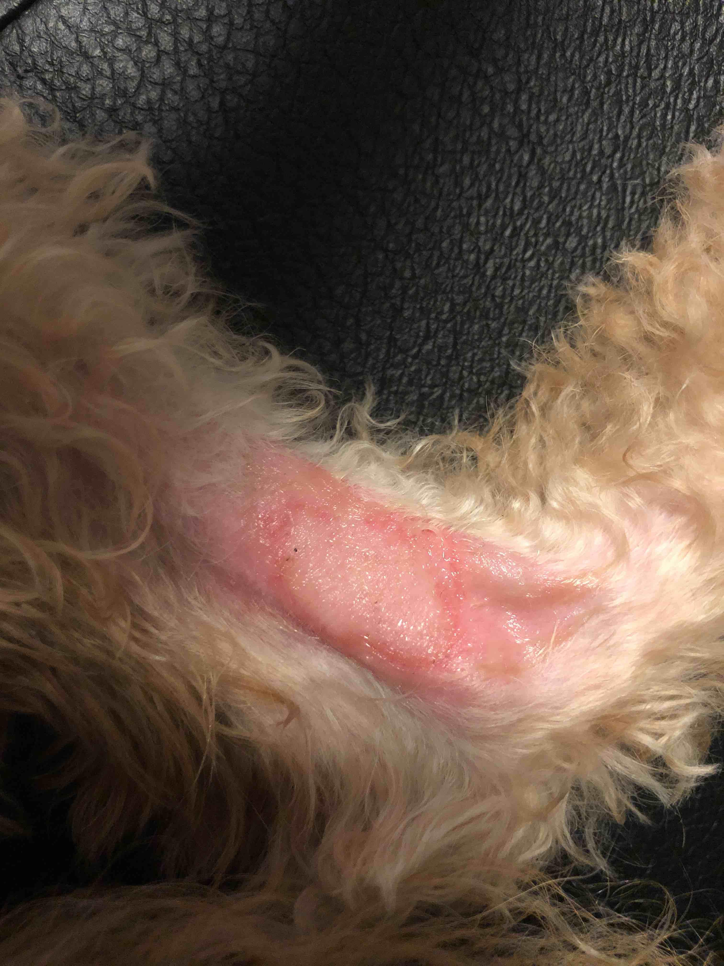 Question details sensitive content