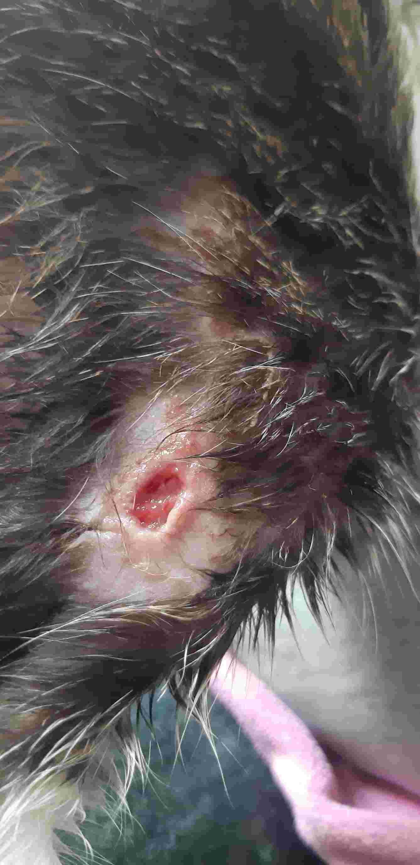 Question details sensitive content