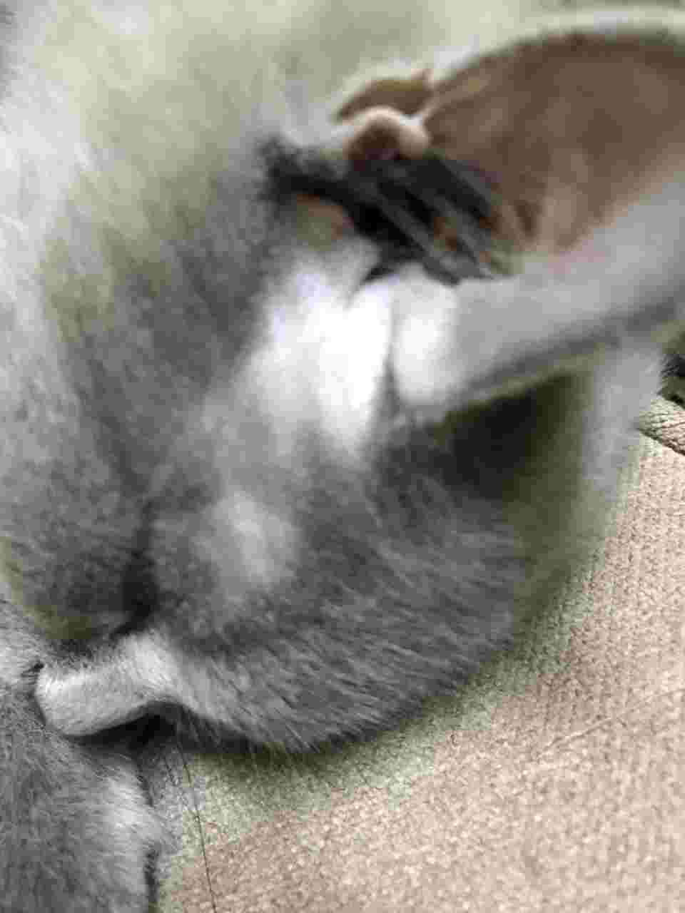 Question details sensitive content