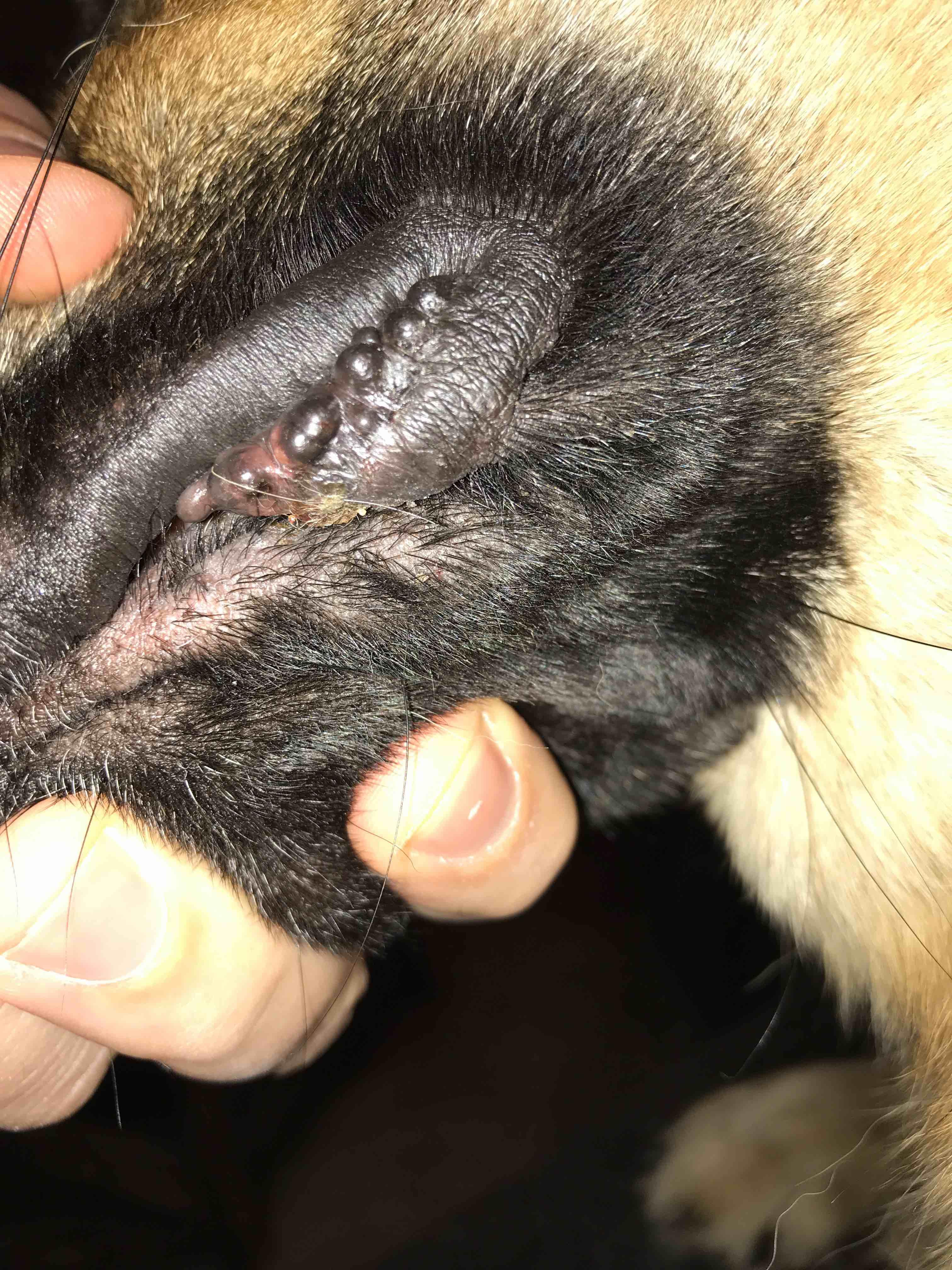 Question details sensitive content