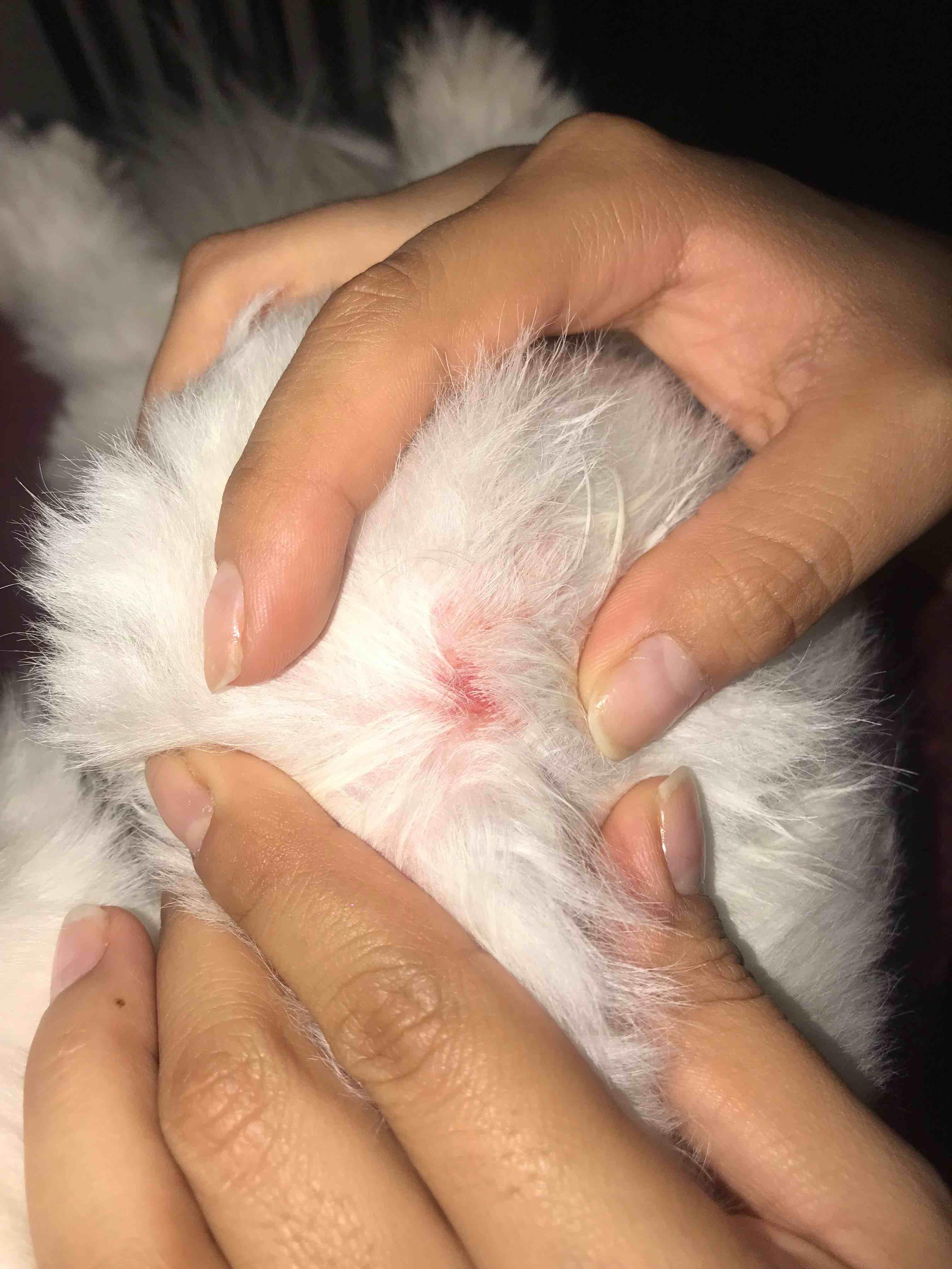 Question details sensitive content