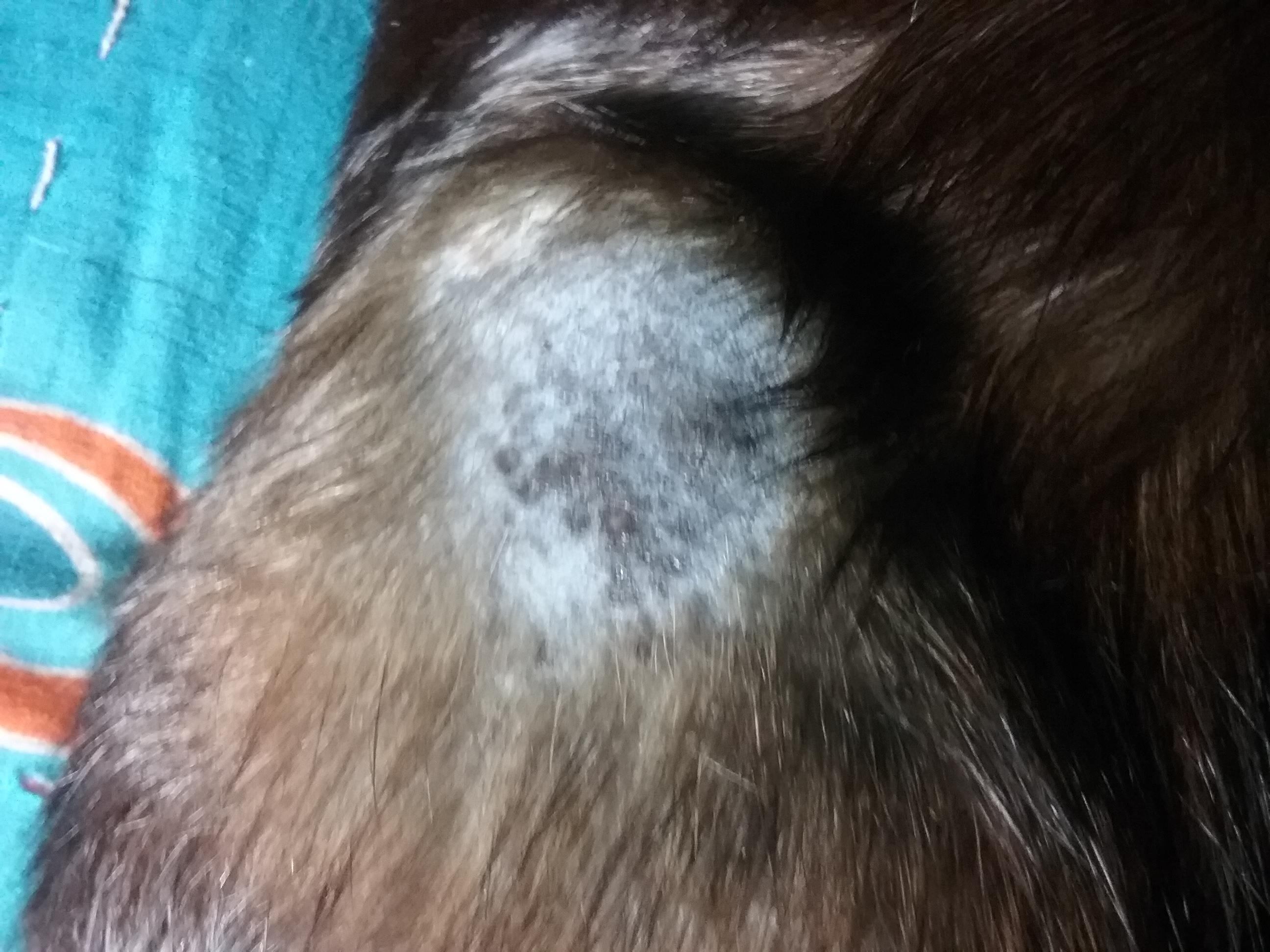 Question details sensitive content