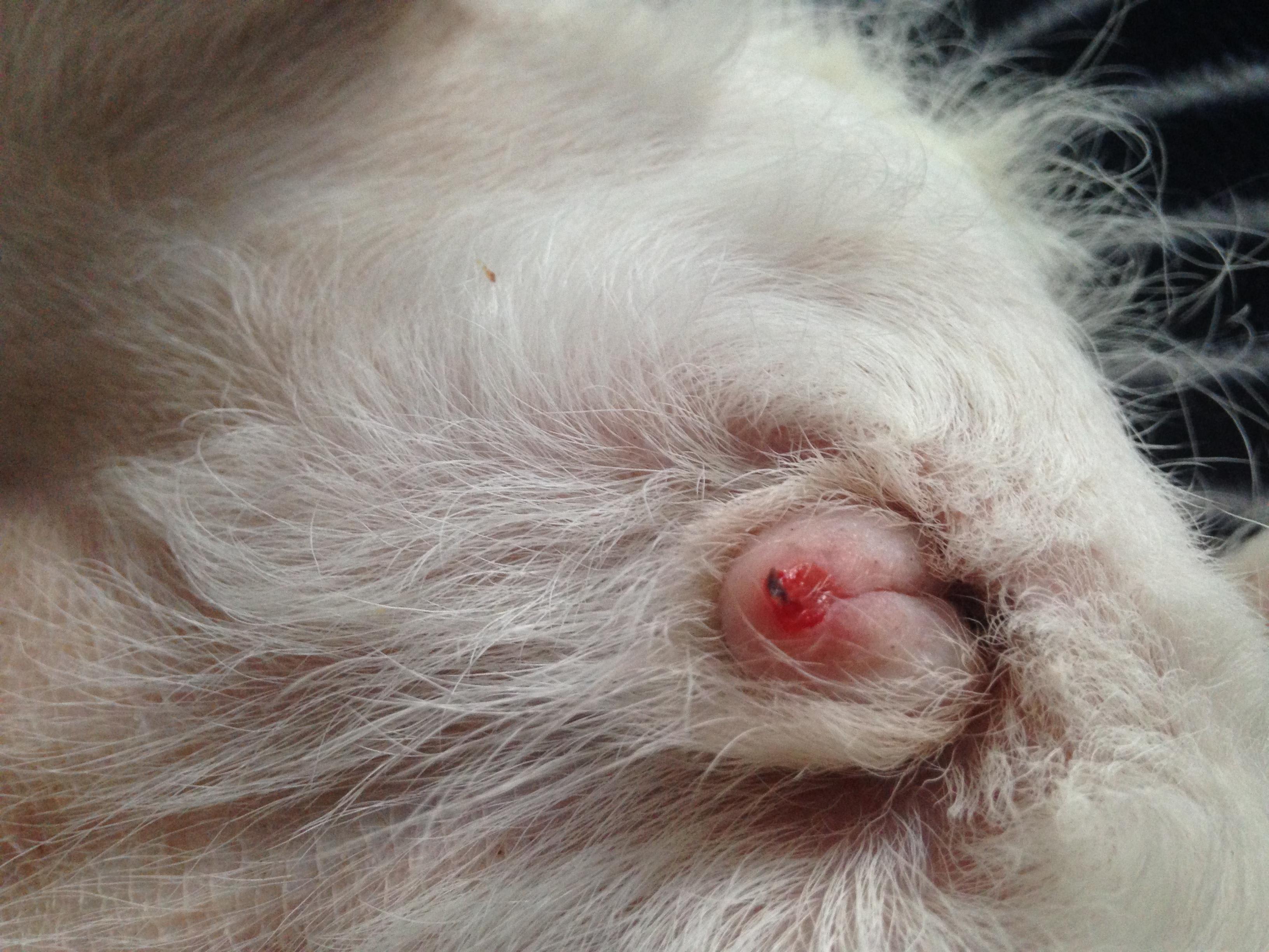 Question details sensitive content