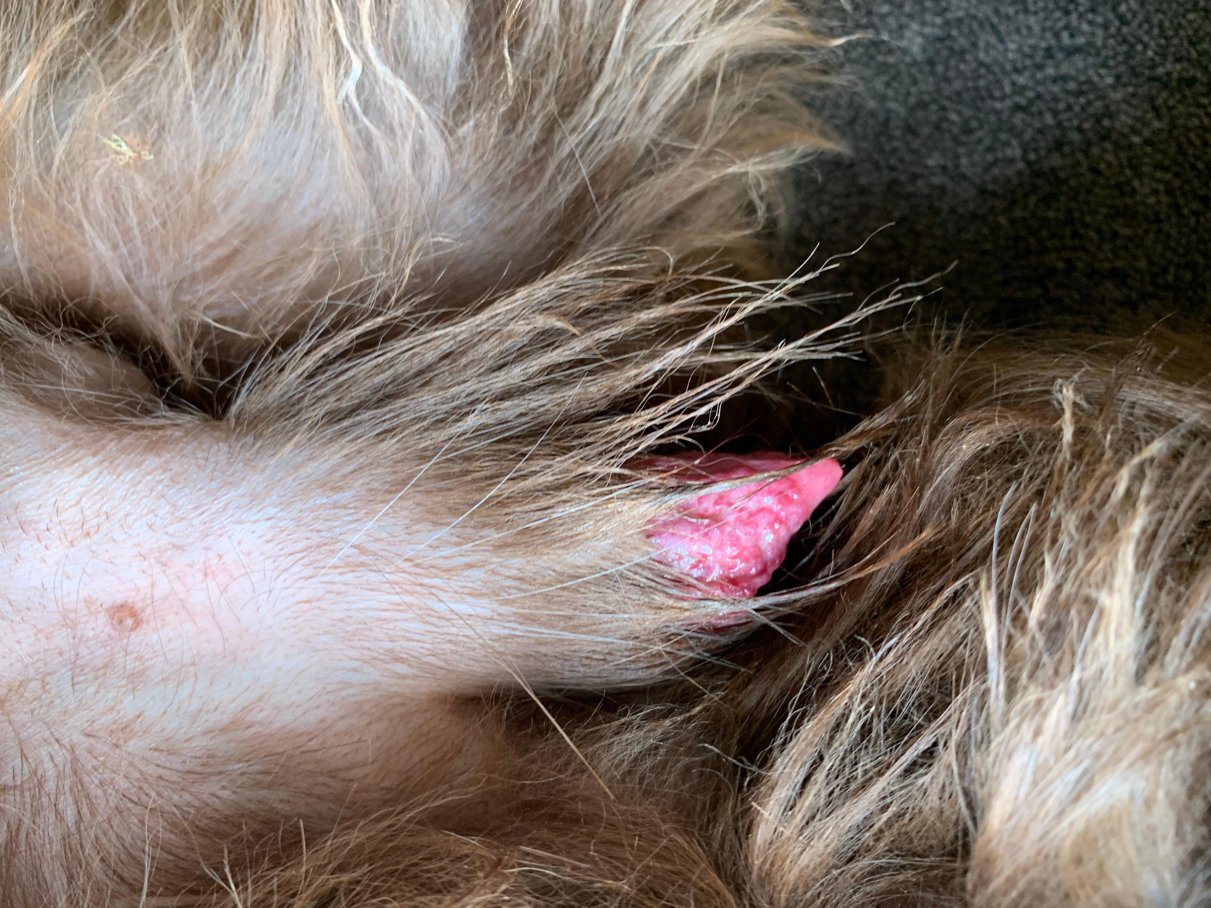 Question details sensitive content