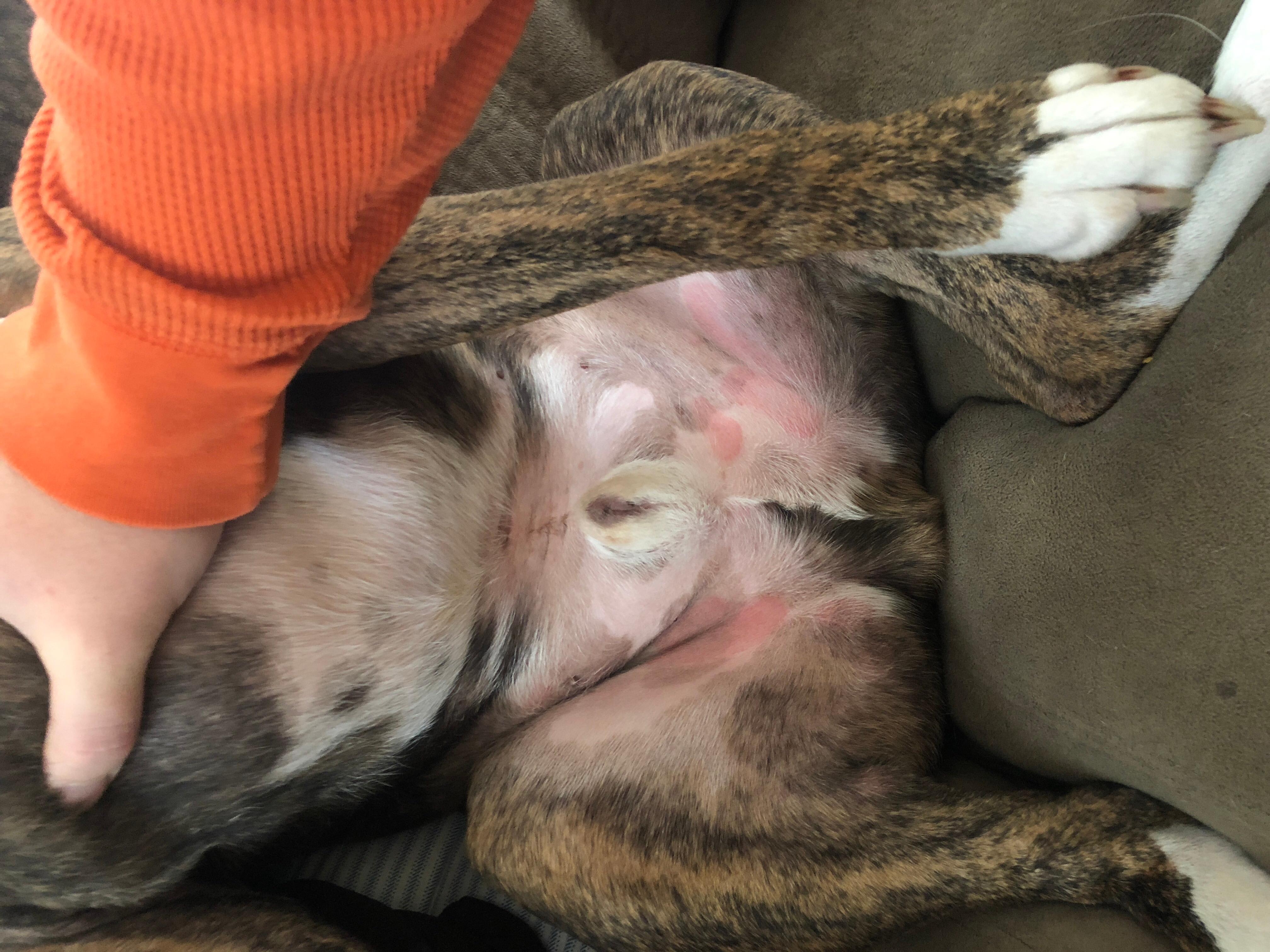 Question details sensitive content