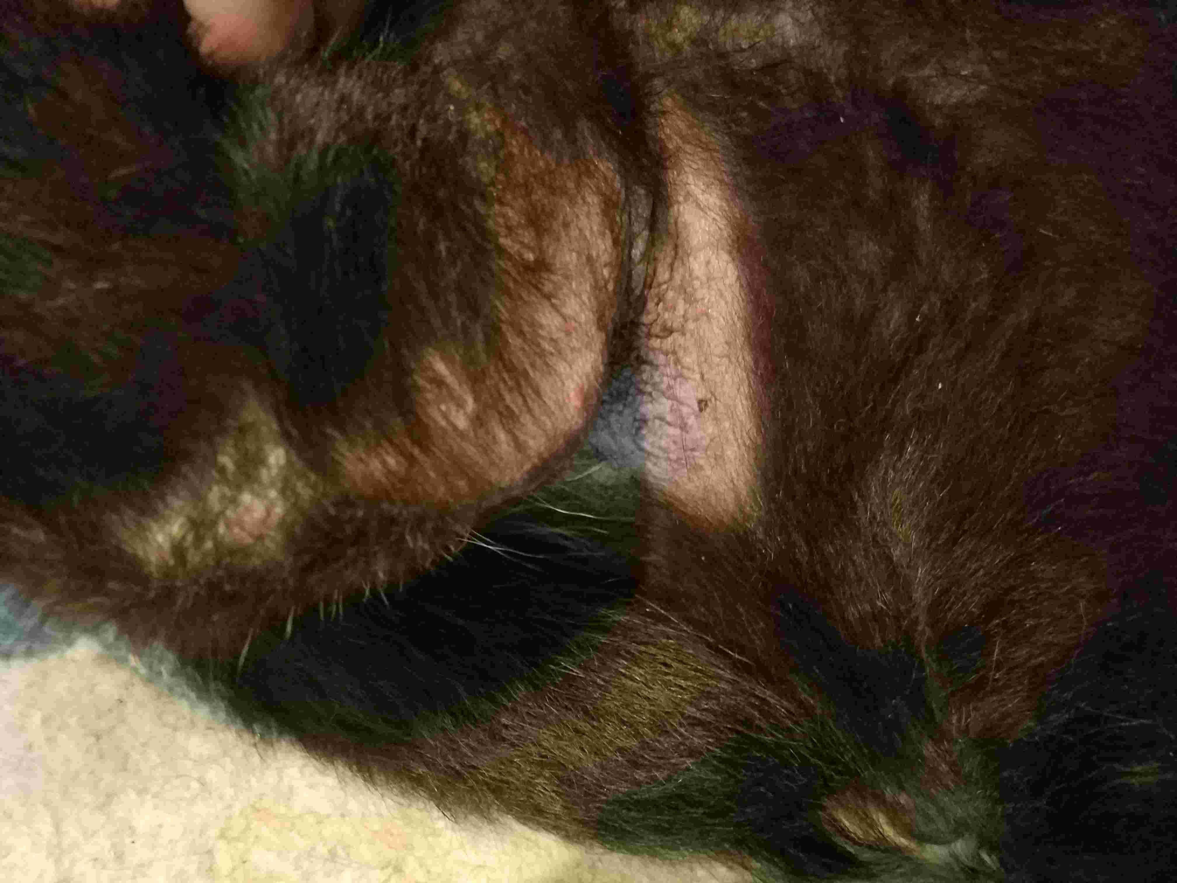 Question details sensitive content