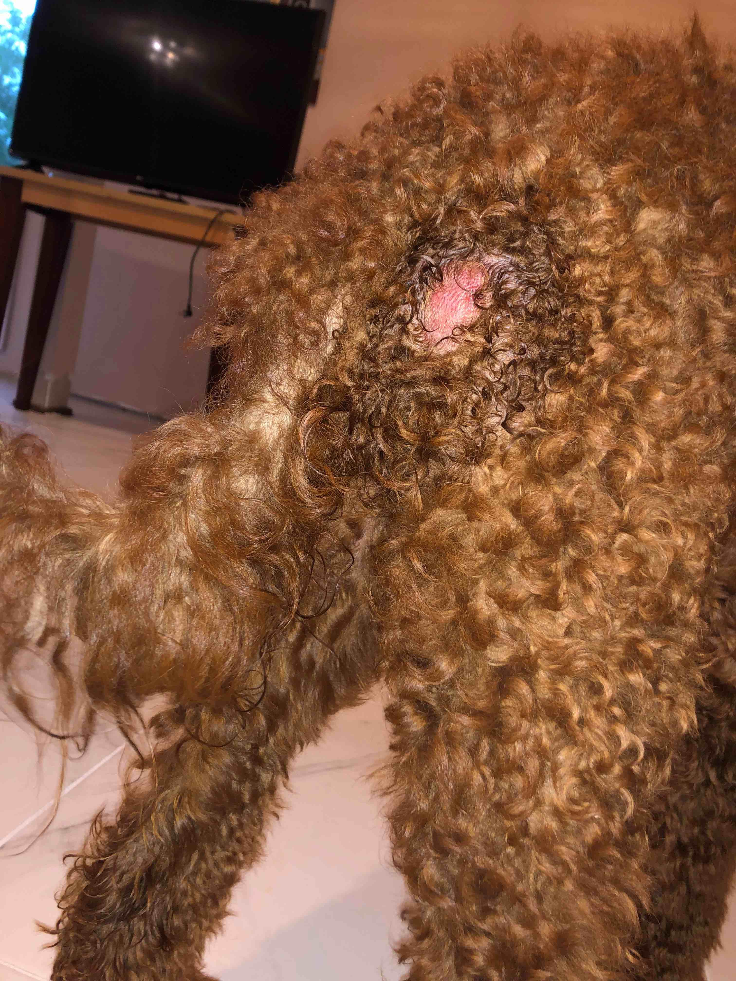 Question details sensitive content