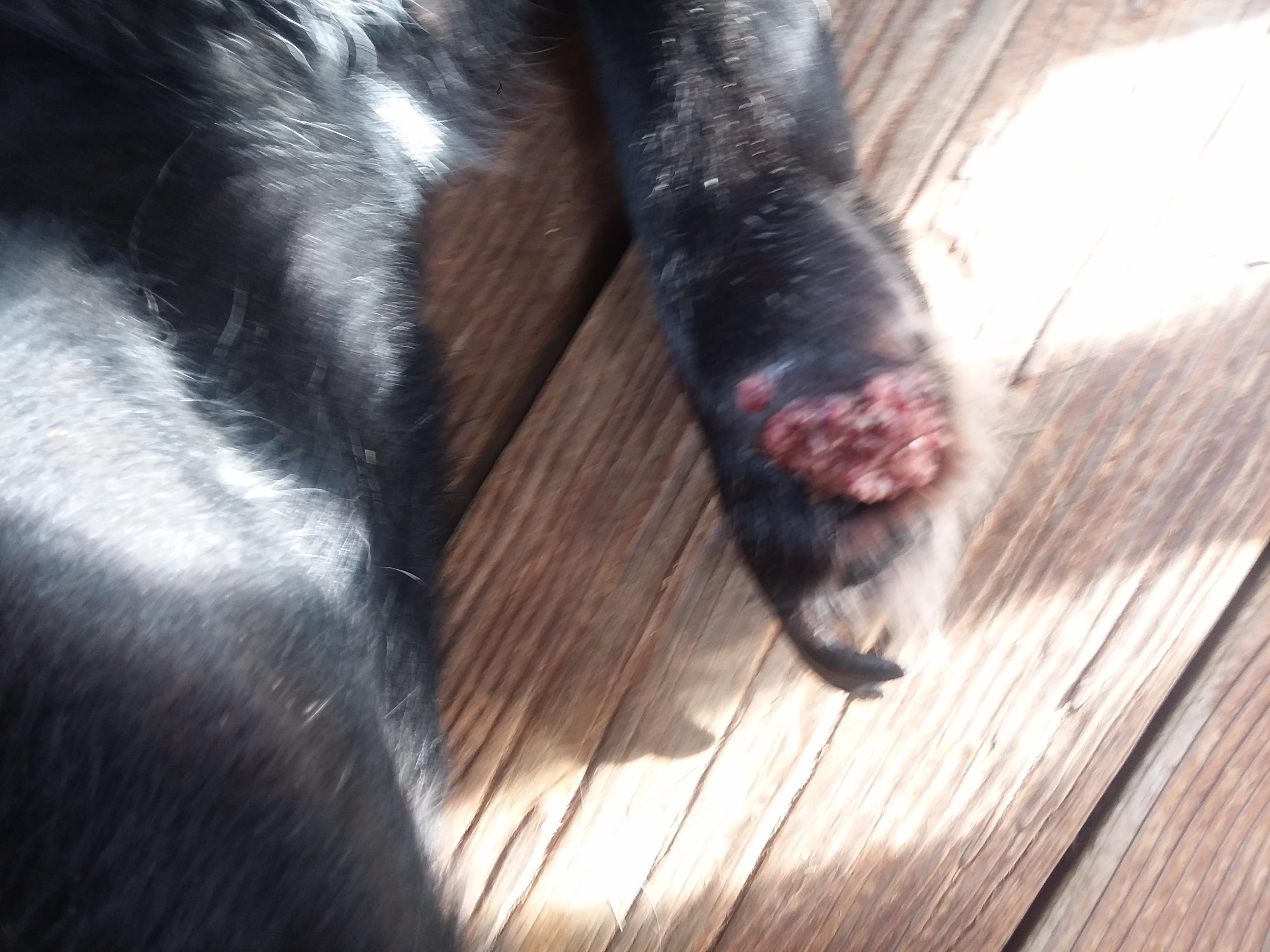 Question details sensitive content