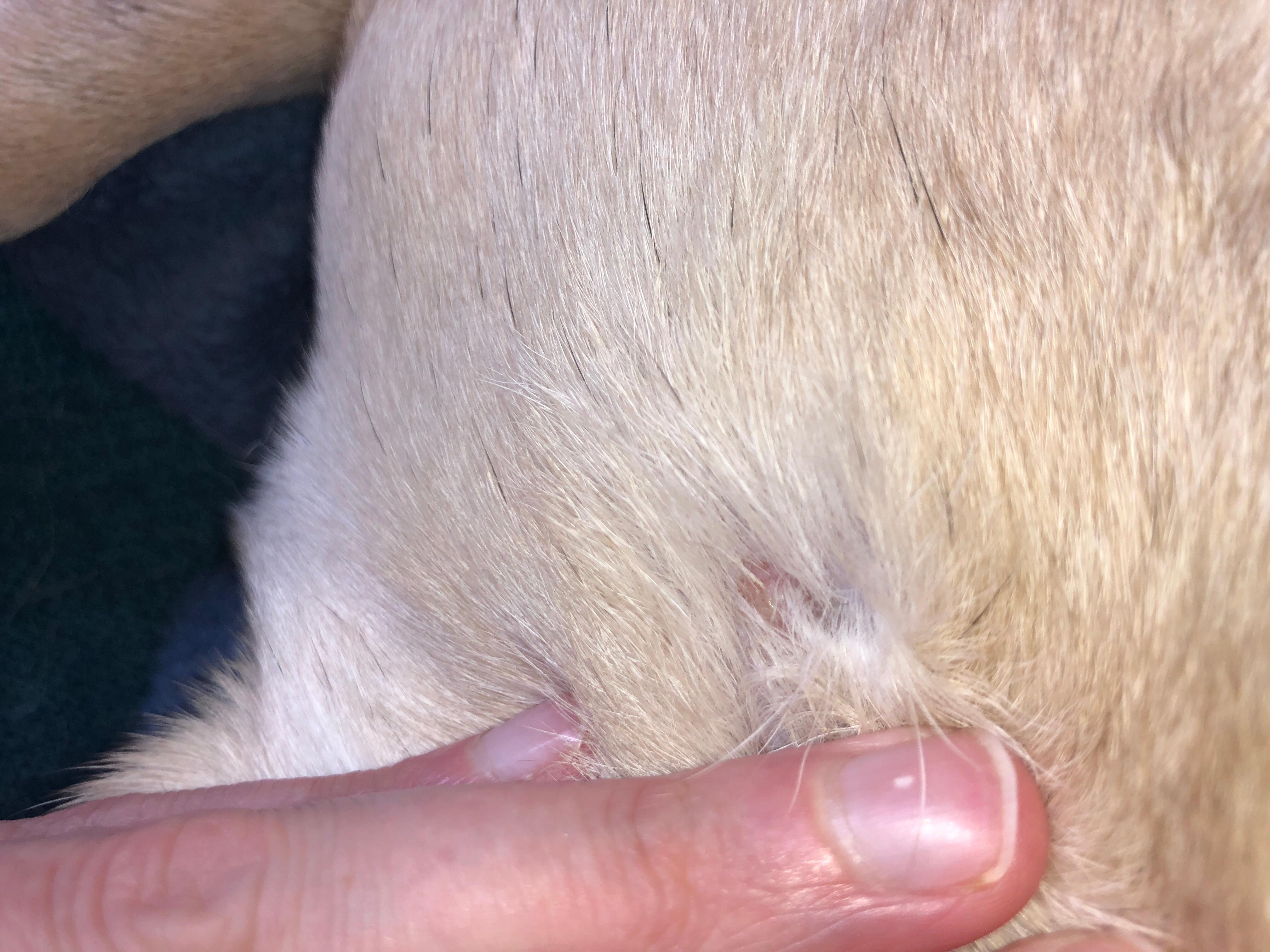 Question details sensitive content