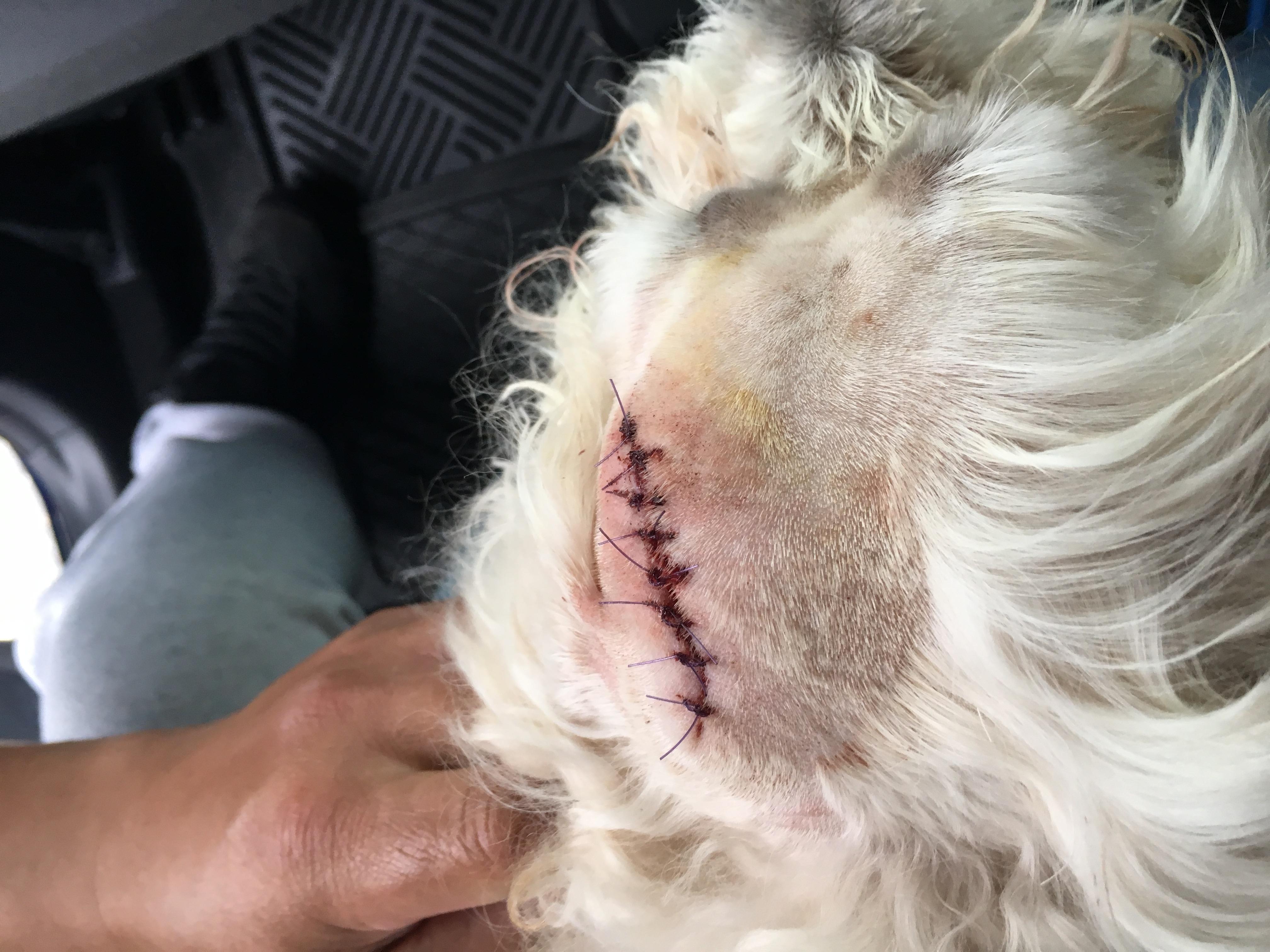 Question details sensitive content