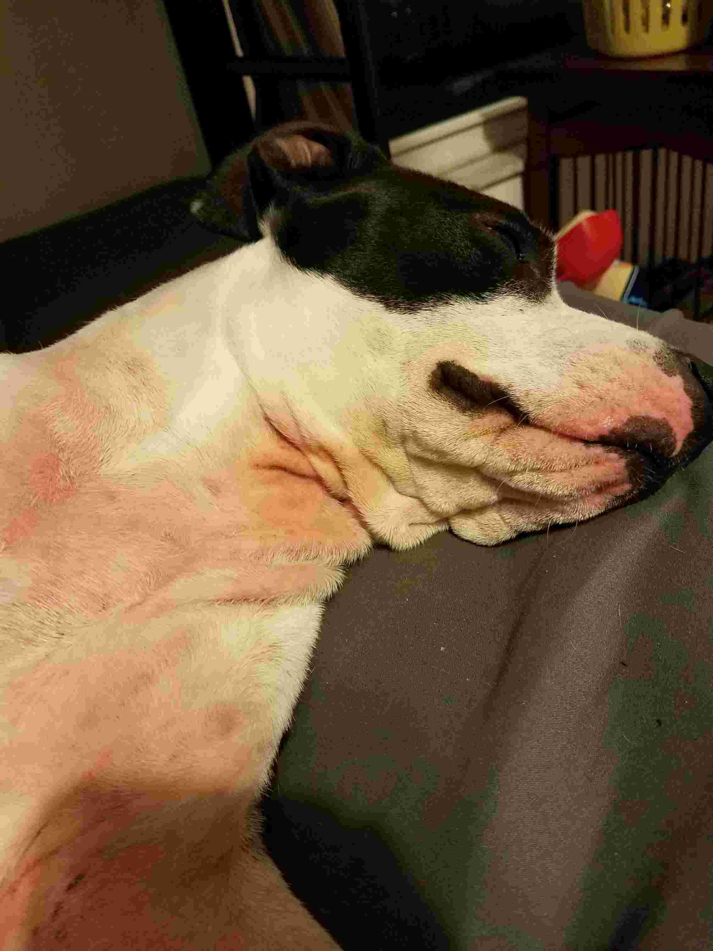 Question details sensitive content